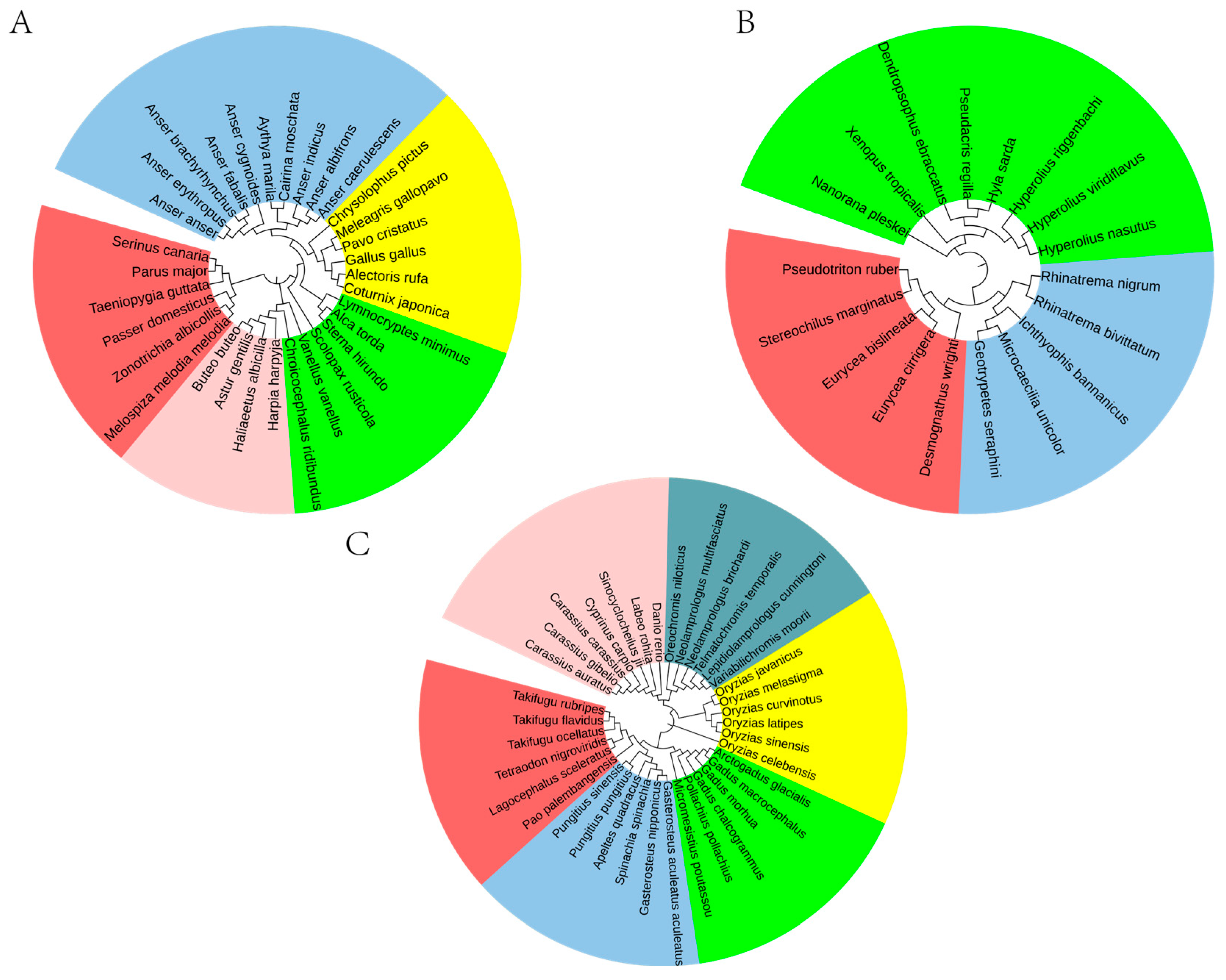 Genes 17 00039 g006 Genes 17 00039 g006