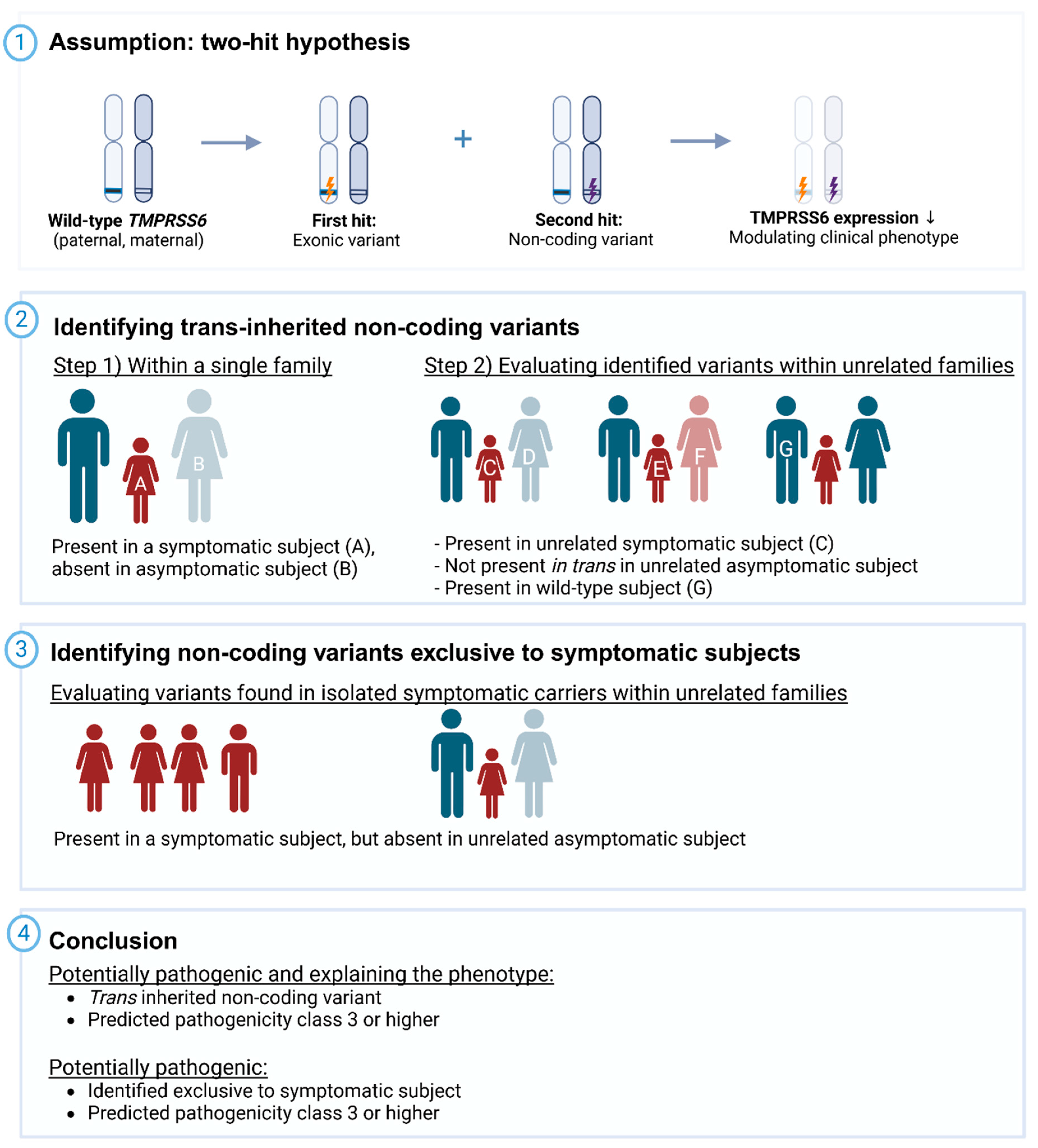 Genes 17 00074 g001
