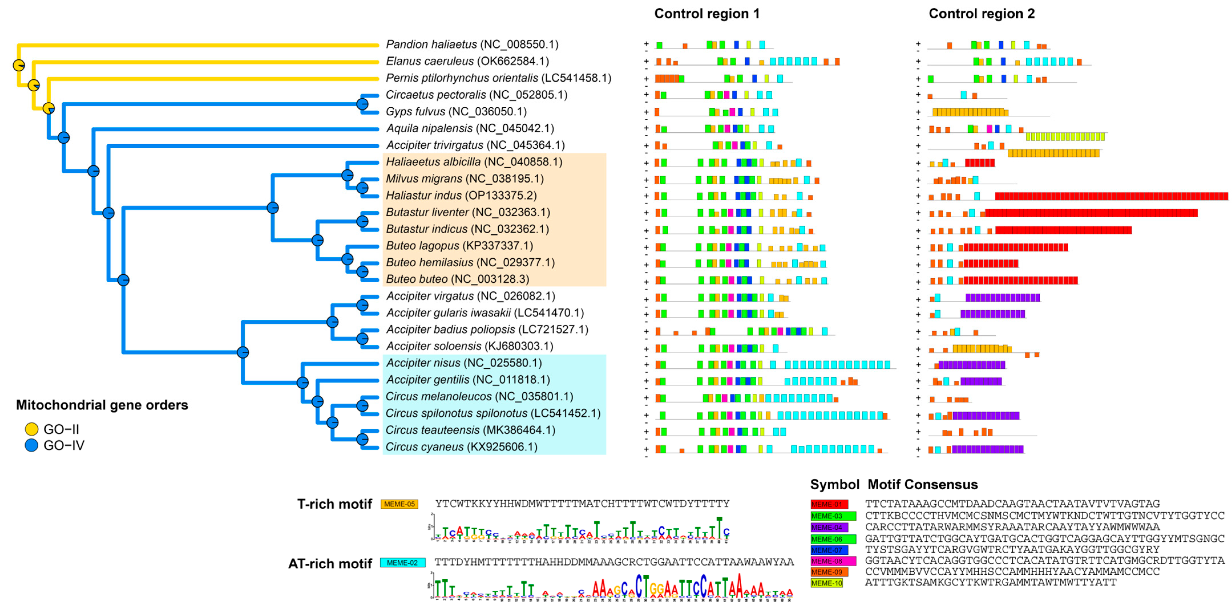 Genes 17 00085 g003 Genes 17 00085 g003