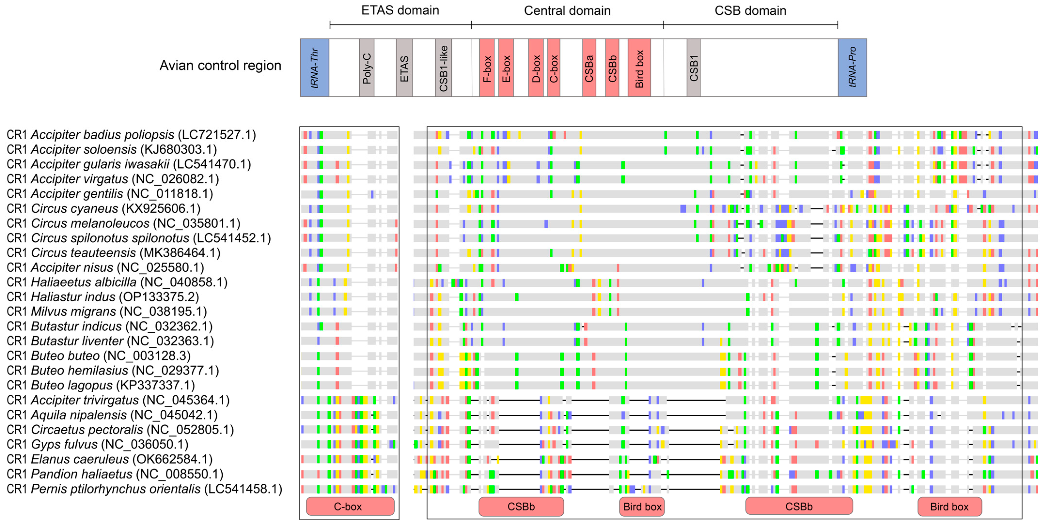 Genes 17 00085 g004 Genes 17 00085 g004