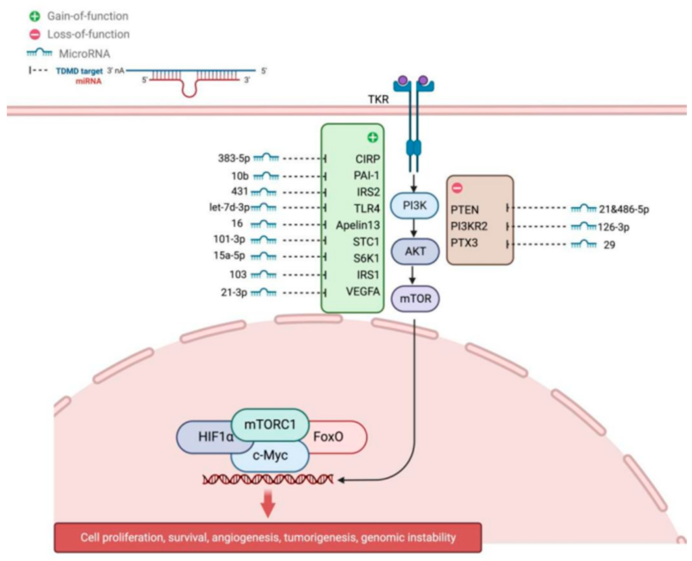 Genes 17 00121 g001 Genes 17 00121 g001