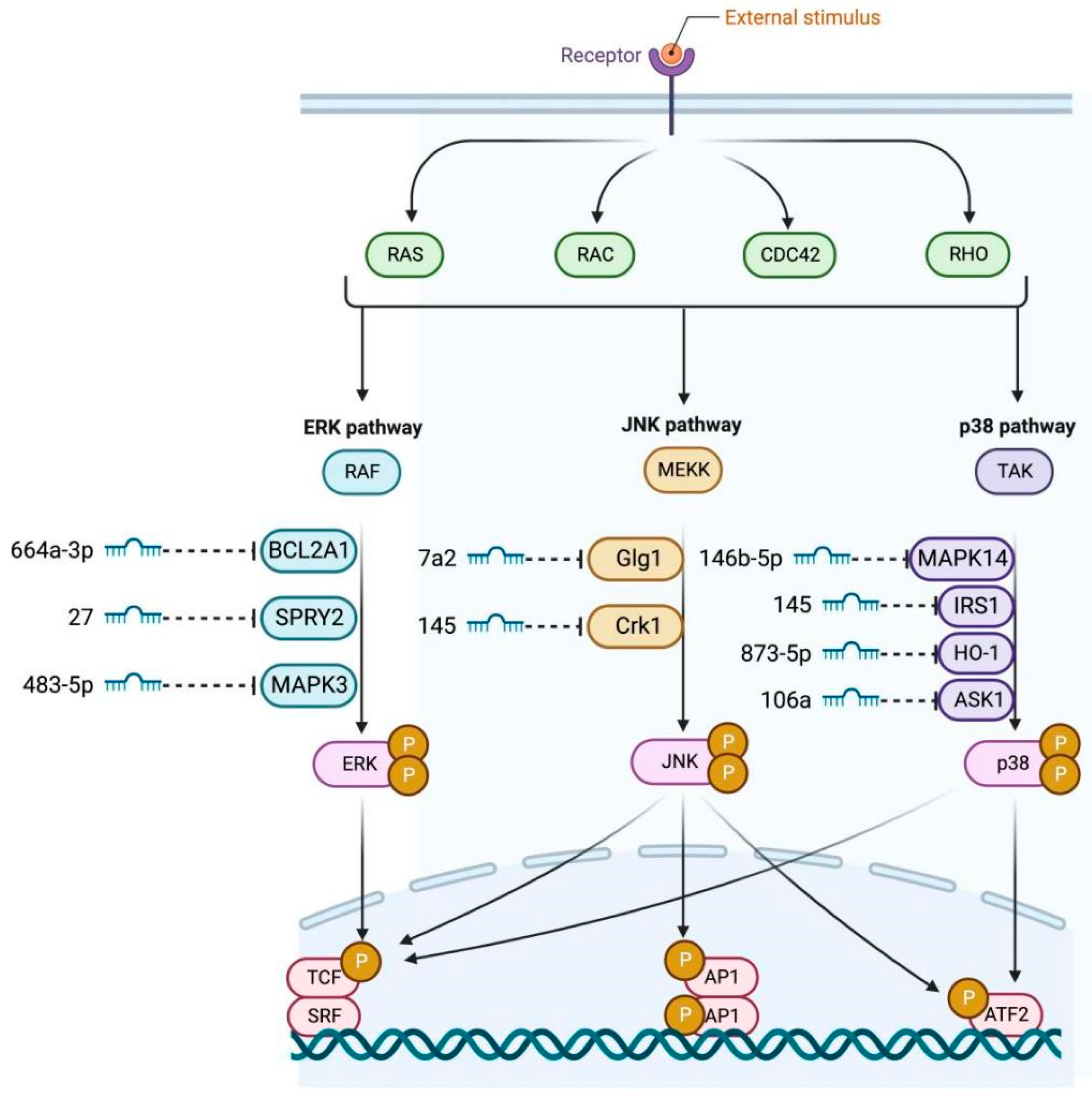 Genes 17 00121 g003 Genes 17 00121 g003