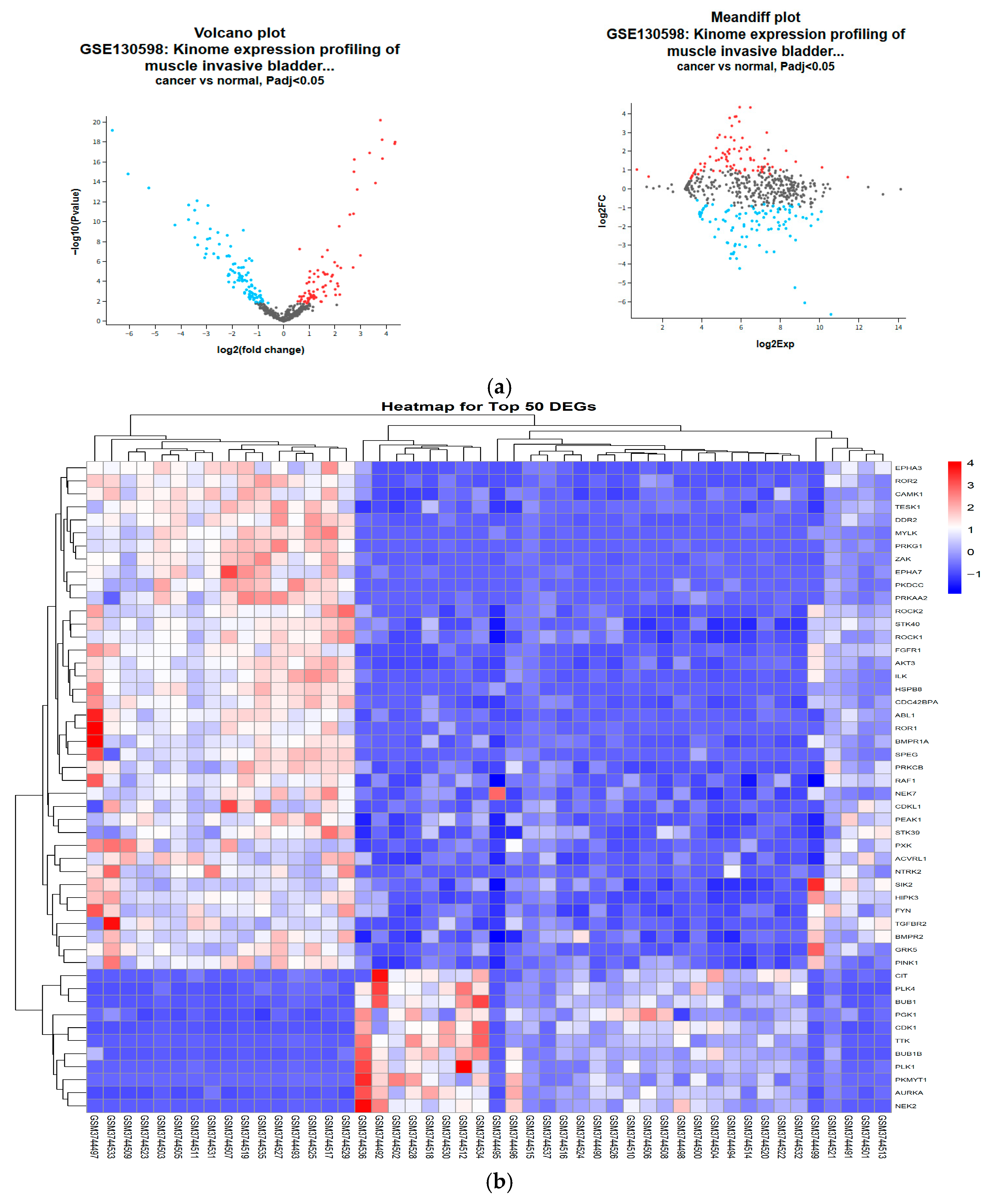 Genes 17 00122 g002 Genes 17 00122 g002