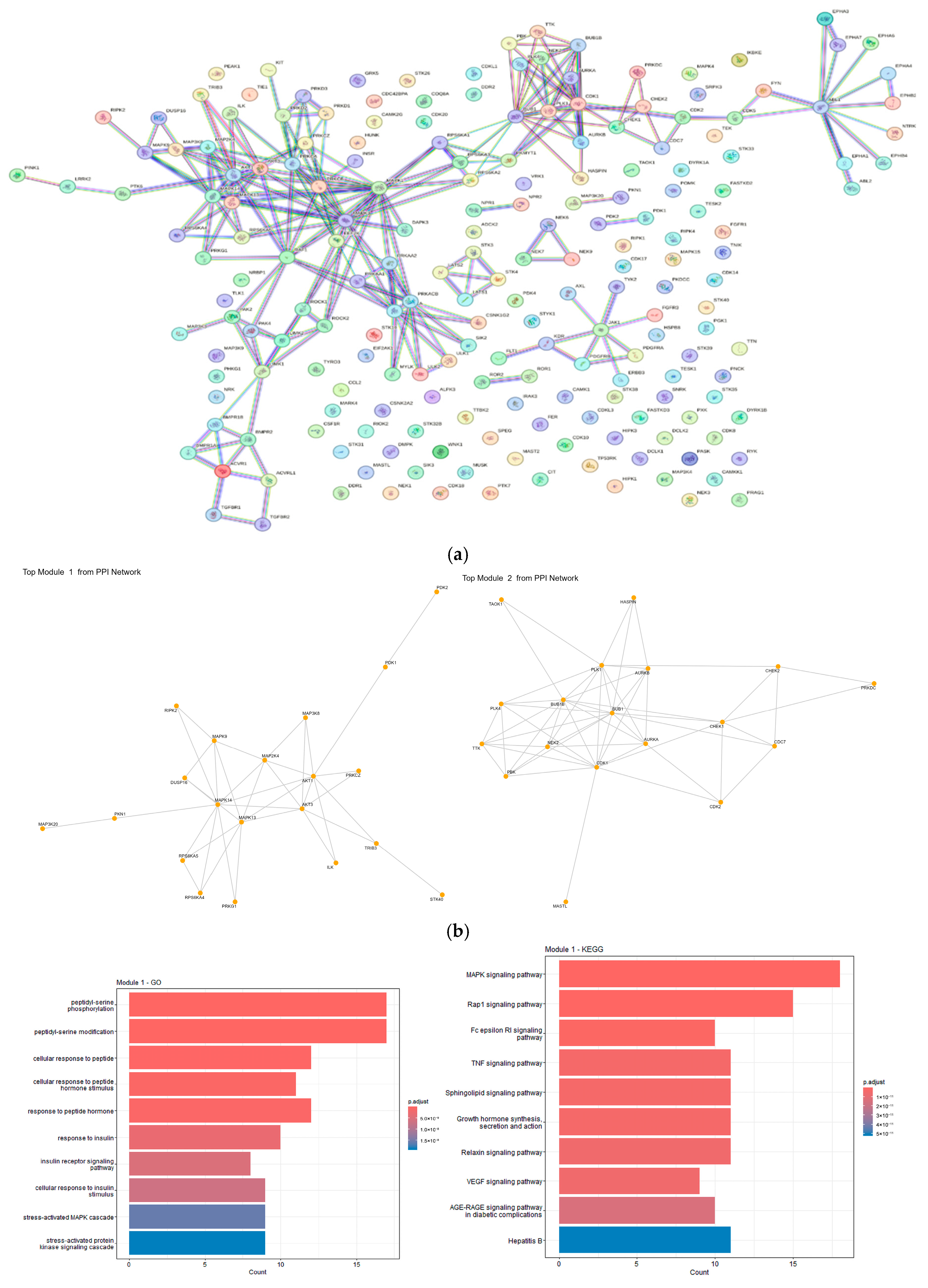 Genes 17 00122 g004a Genes 17 00122 g004a