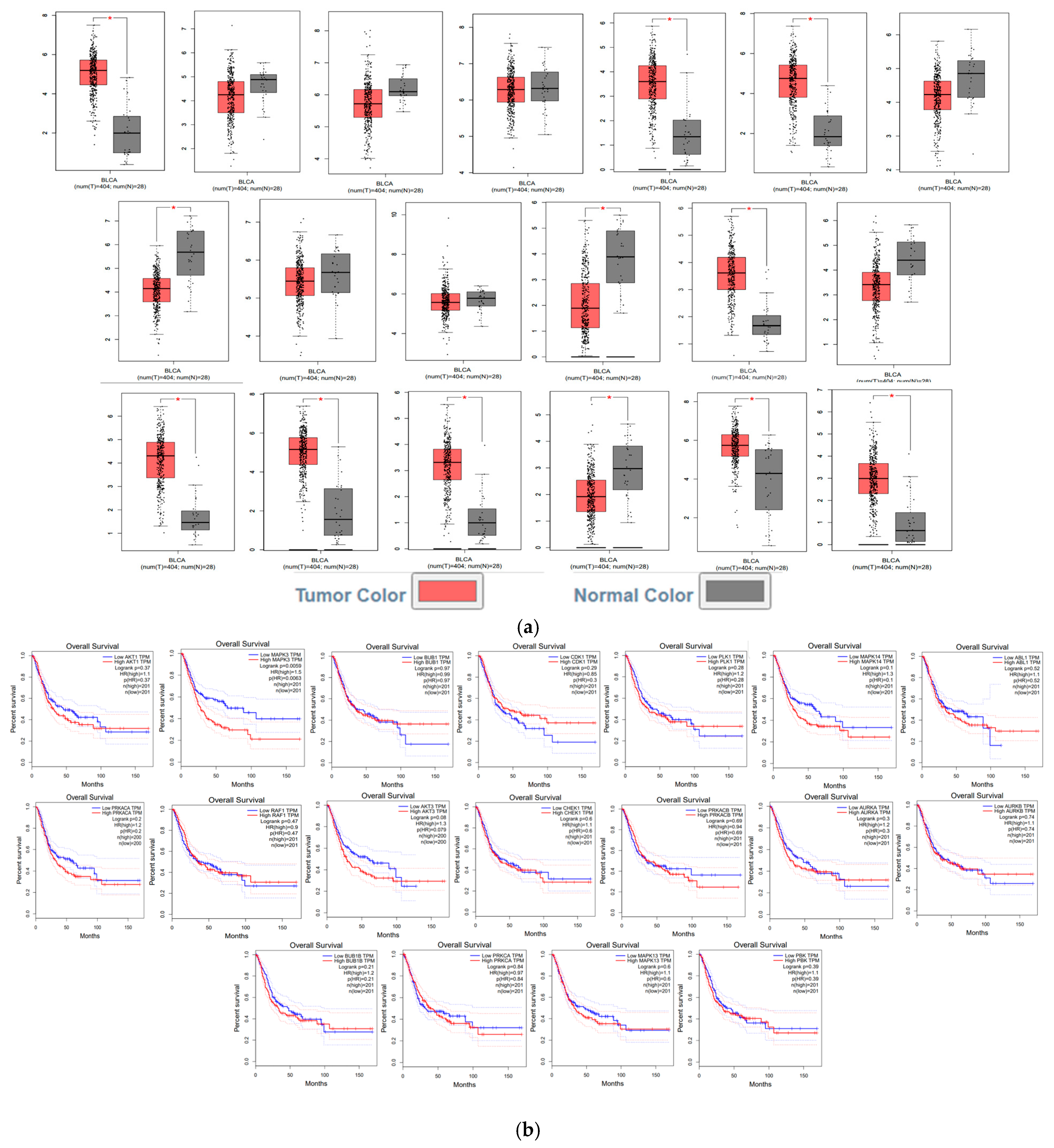 Genes 17 00122 g005 Genes 17 00122 g005