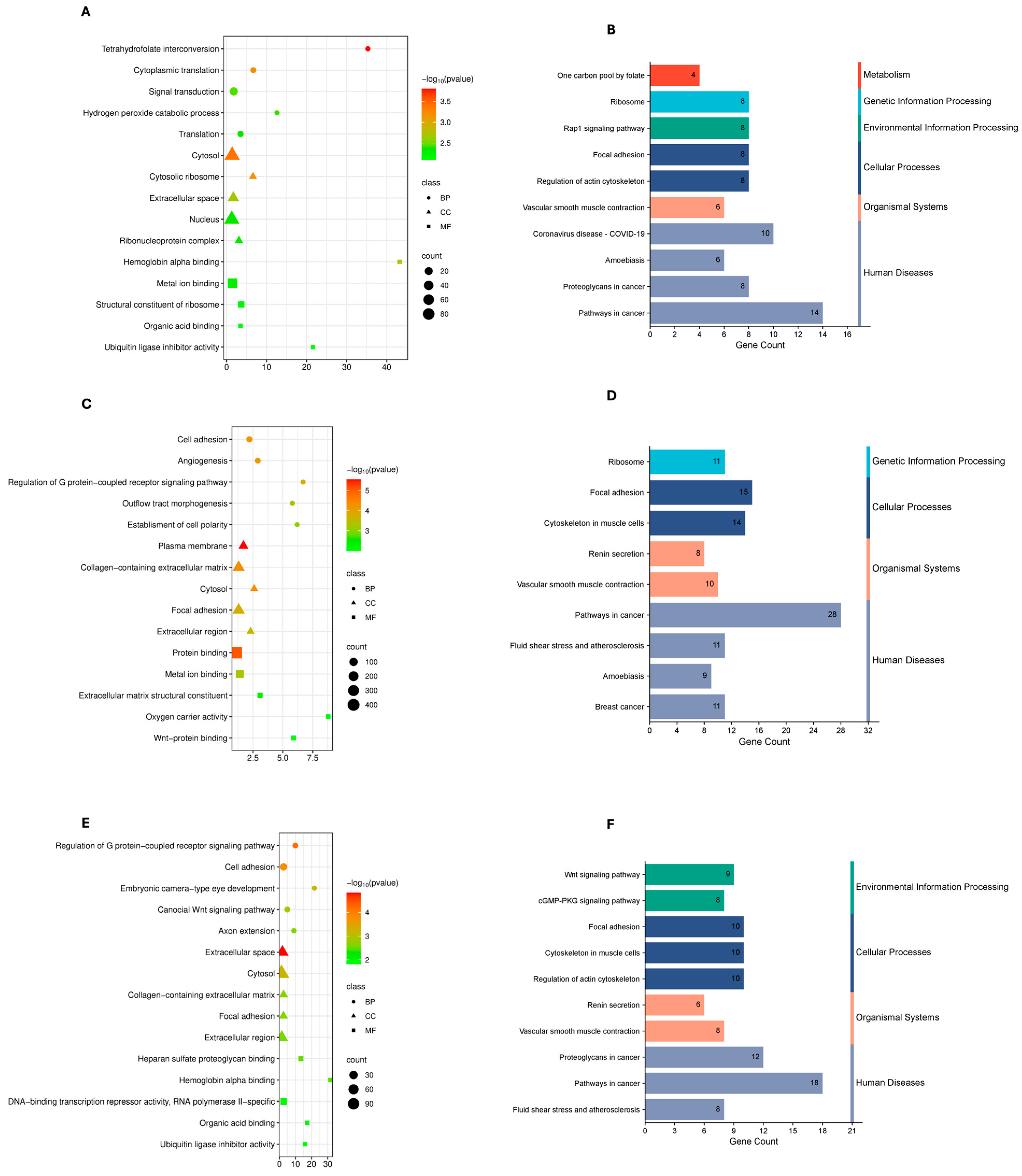 Genes 17 00150 g004