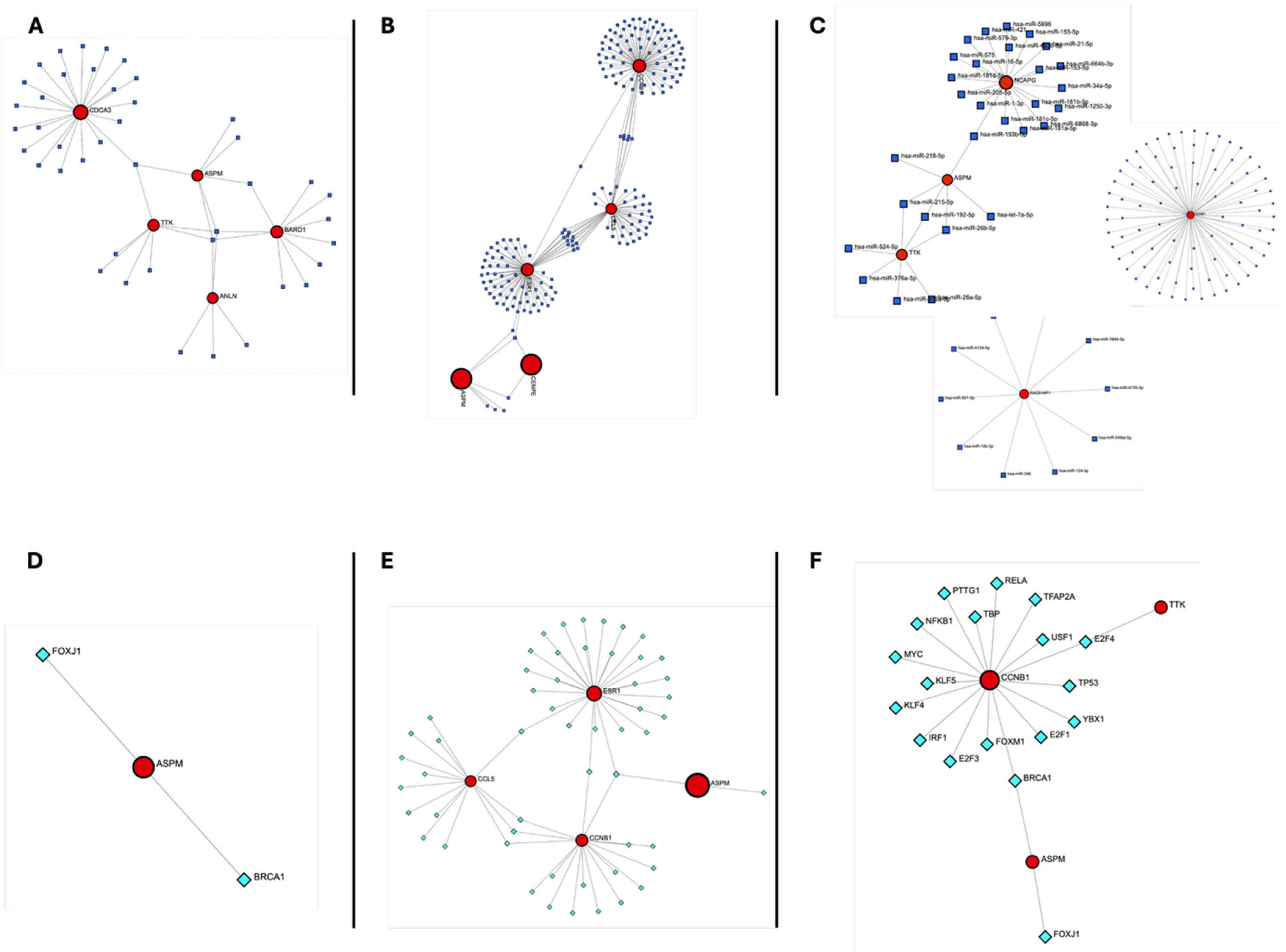 Genes 17 00150 g006