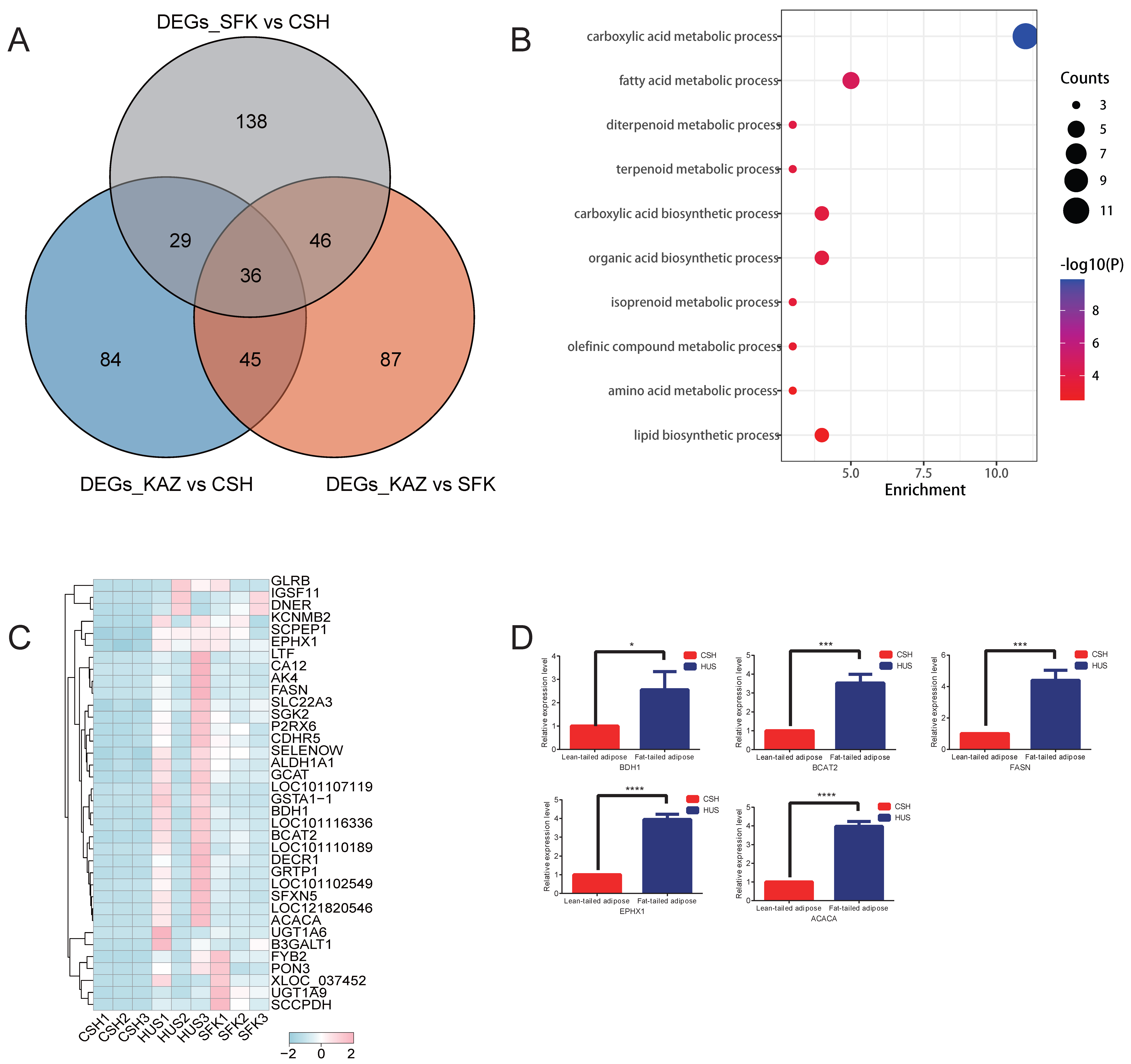 Genes 17 00162 g003 Genes 17 00162 g003