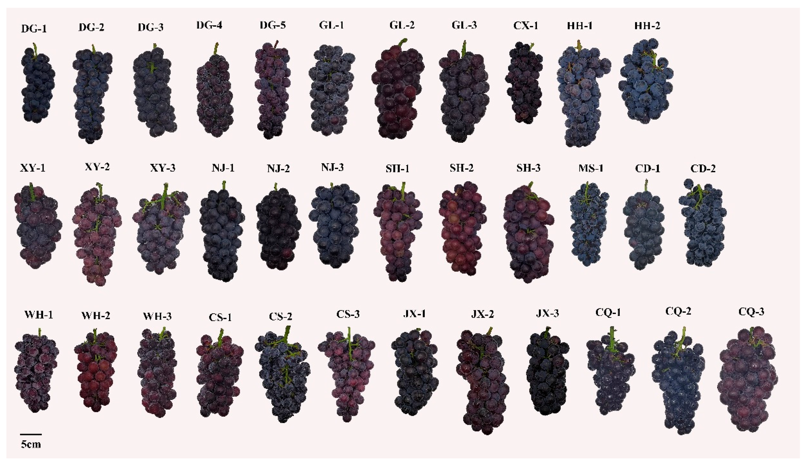 Genes 17 00172 g001 Genes 17 00172 g001