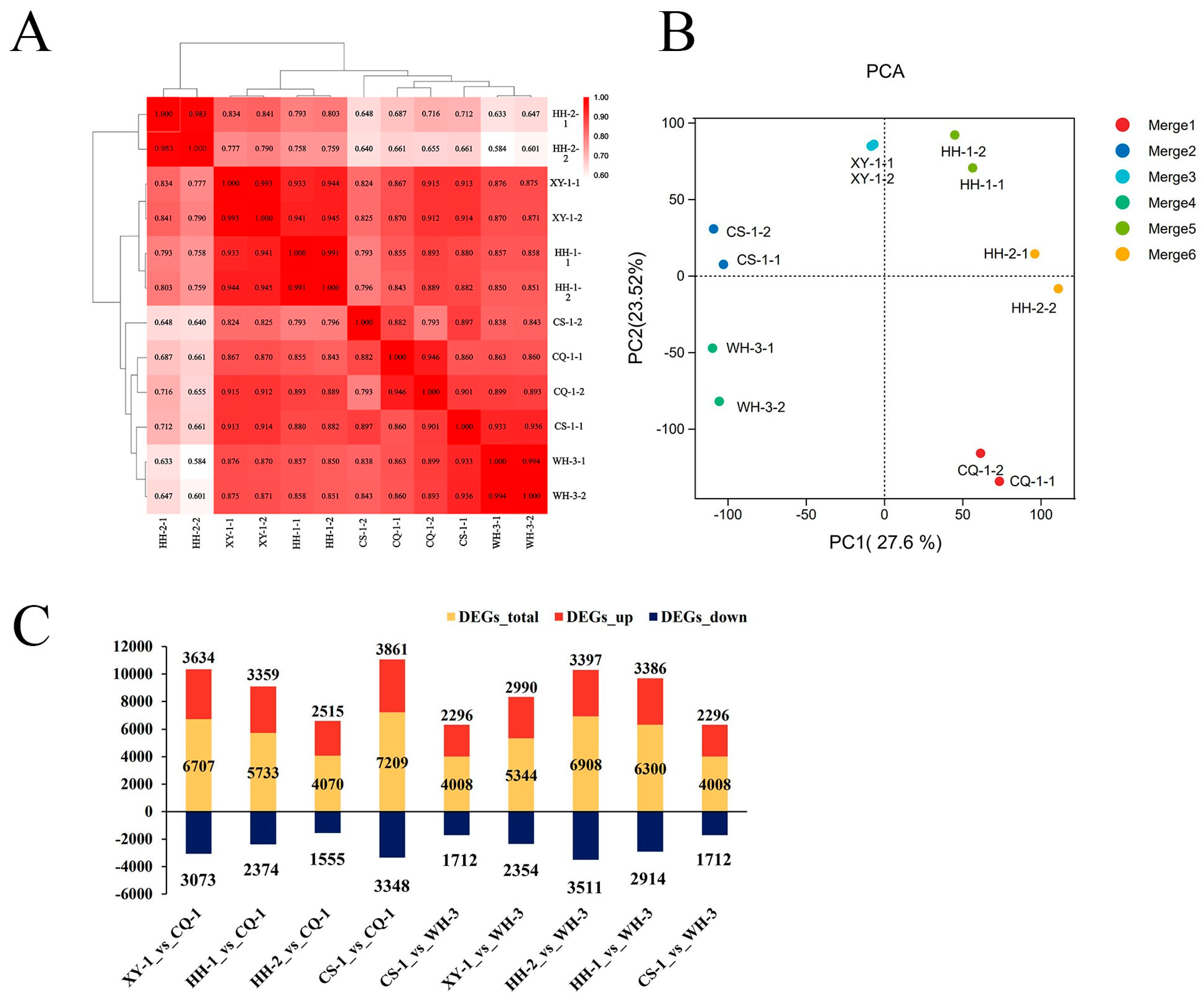Genes 17 00172 g006 Genes 17 00172 g006