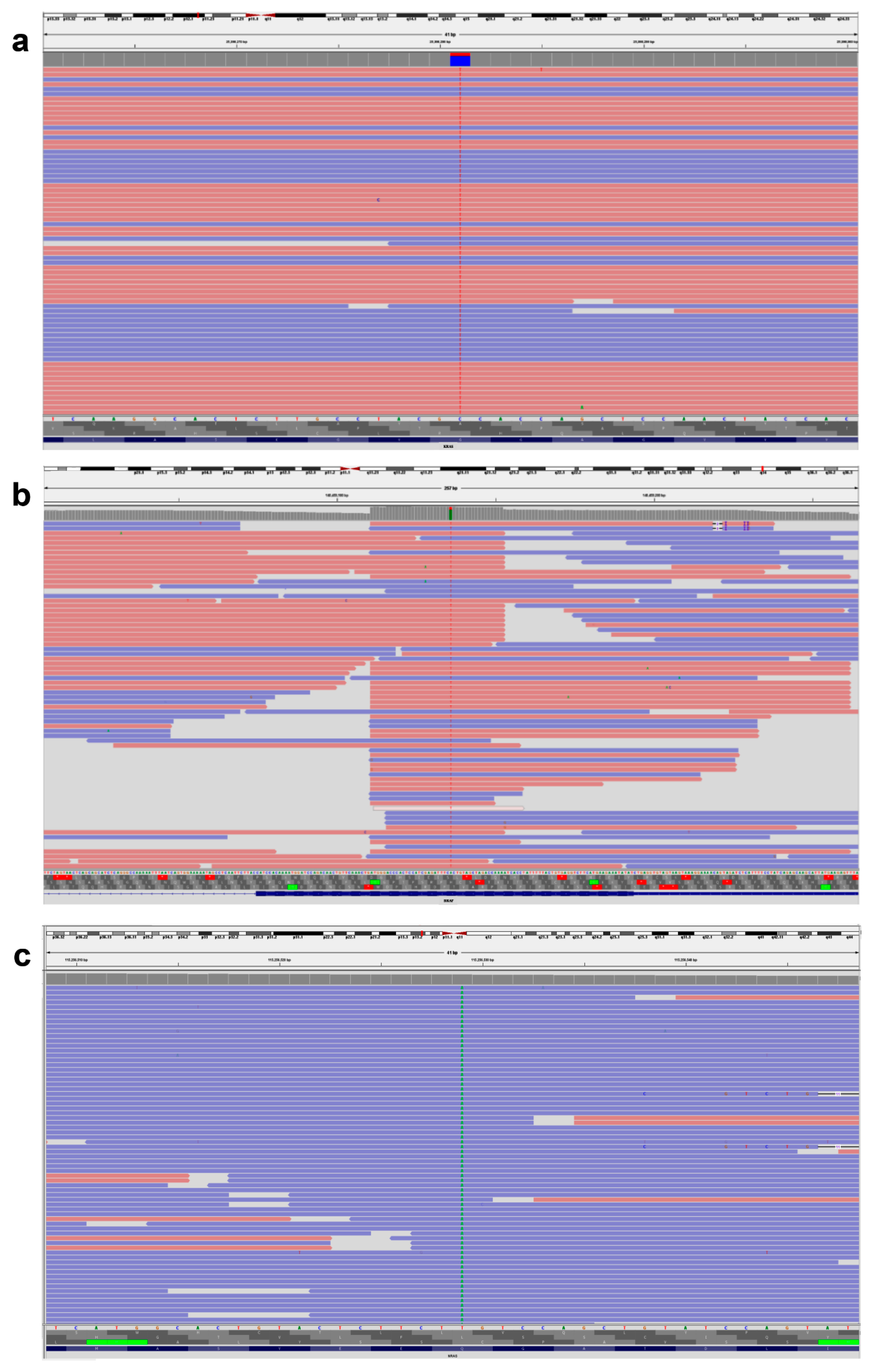 Genes 17 00174 g001 Genes 17 00174 g001