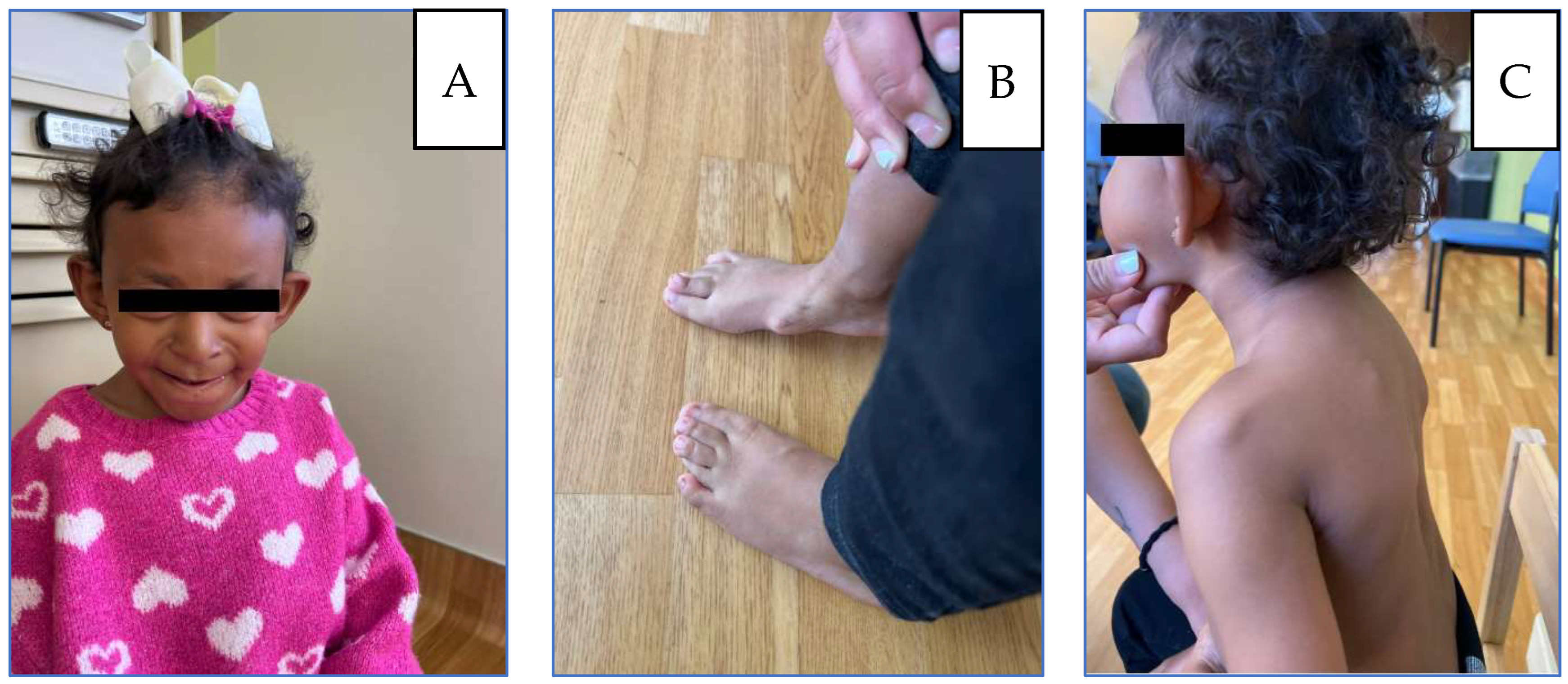 Genes 17 00175 g001 Genes 17 00175 g001