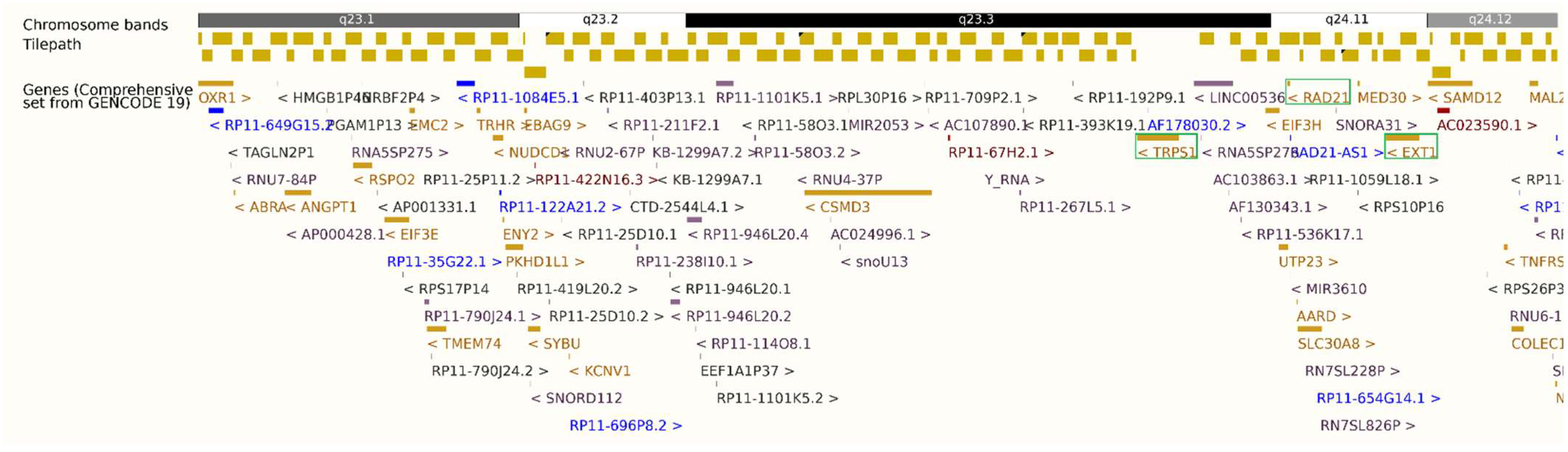 Genes 17 00175 g002 Genes 17 00175 g002