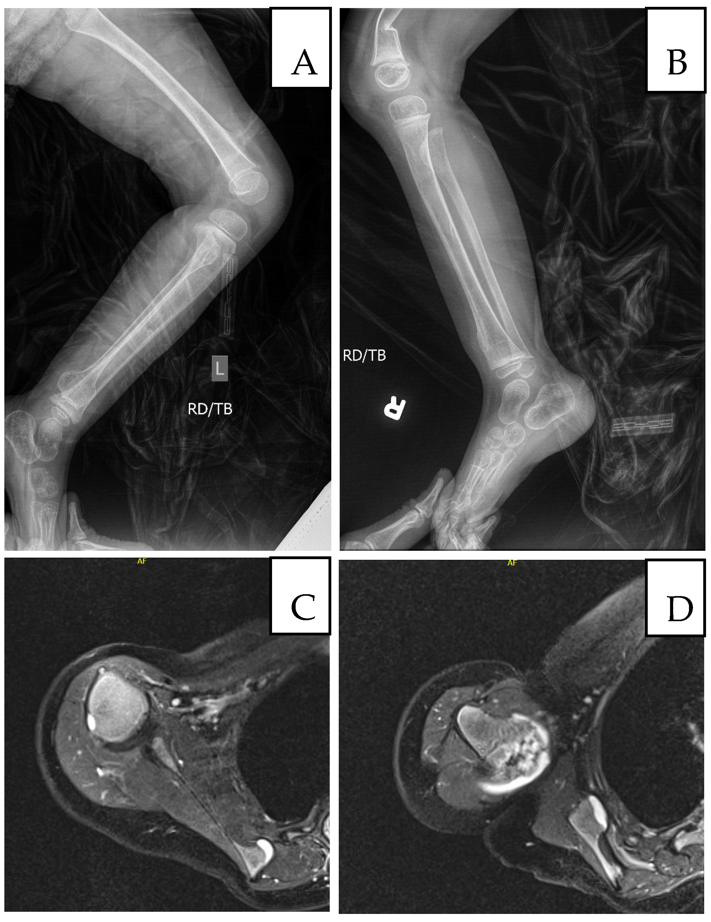 Genes 17 00175 g003 Genes 17 00175 g003