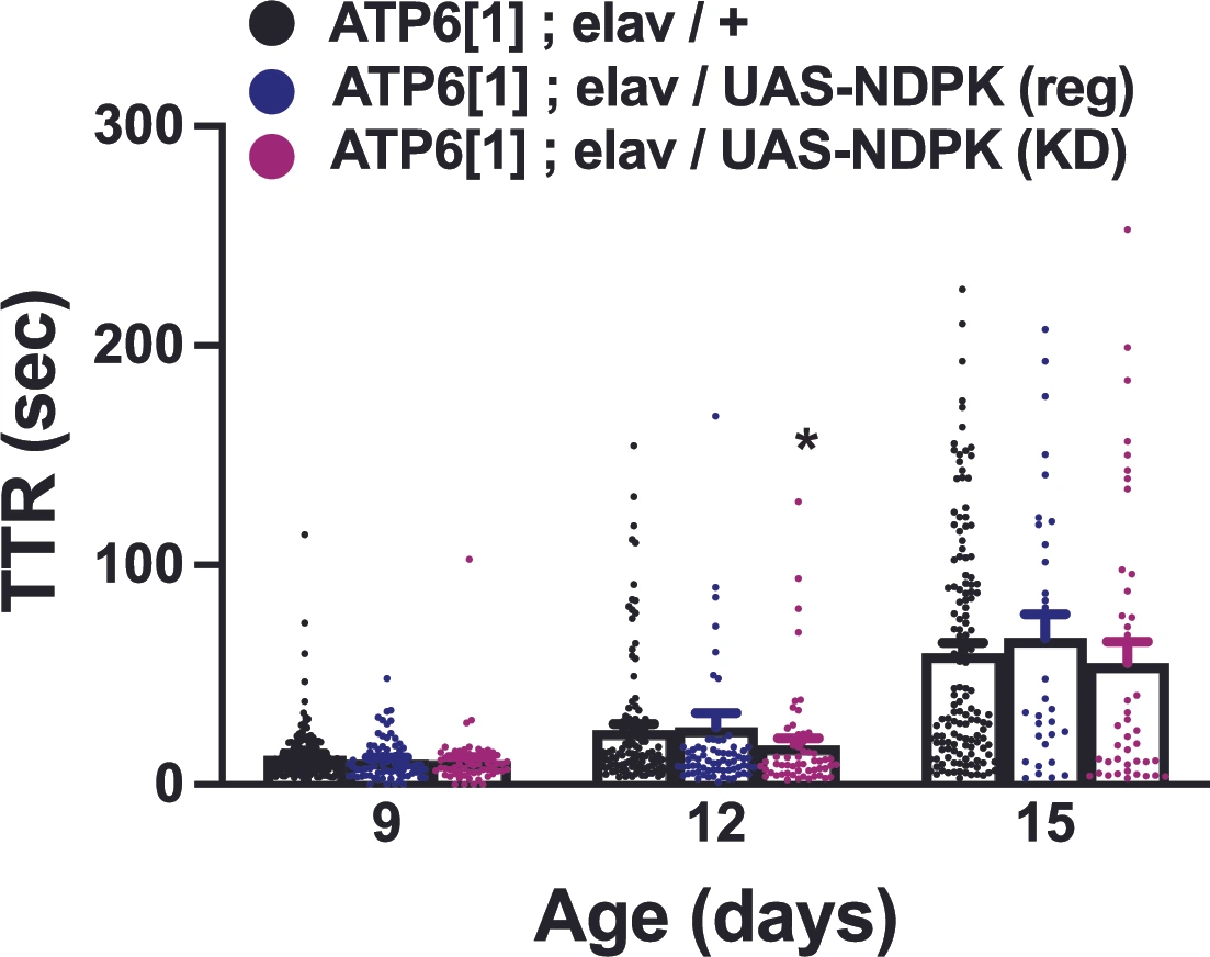 Genes 17 00192 g005 Genes 17 00192 g005