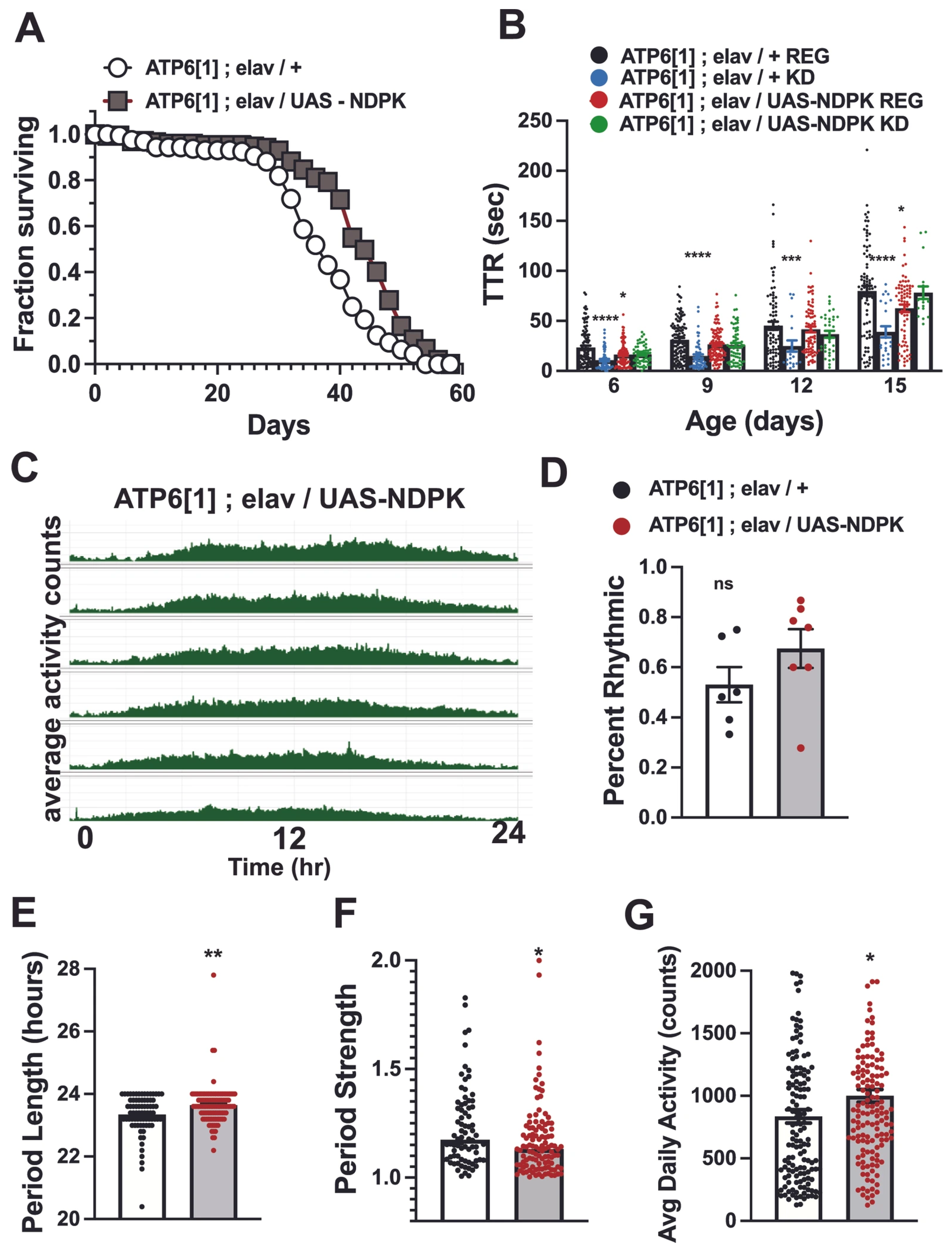 Genes 17 00192 g006 Genes 17 00192 g006