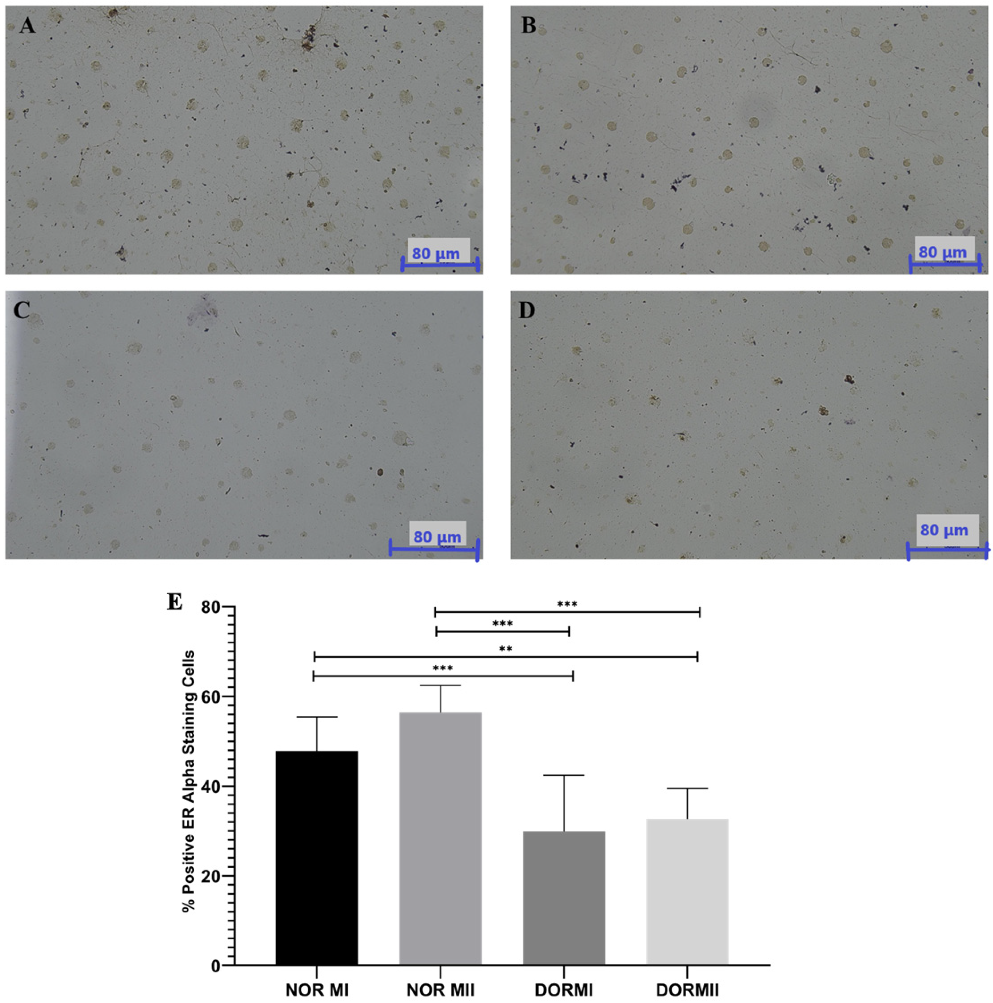 Genes 17 00223 g002 Genes 17 00223 g002