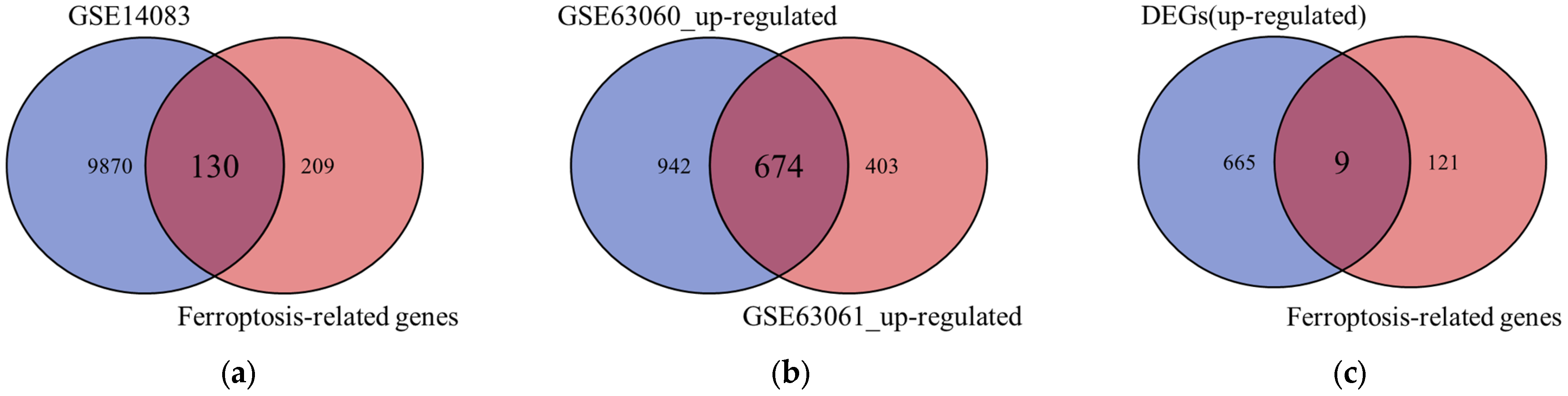 Genes 17 00224 g002 Genes 17 00224 g002