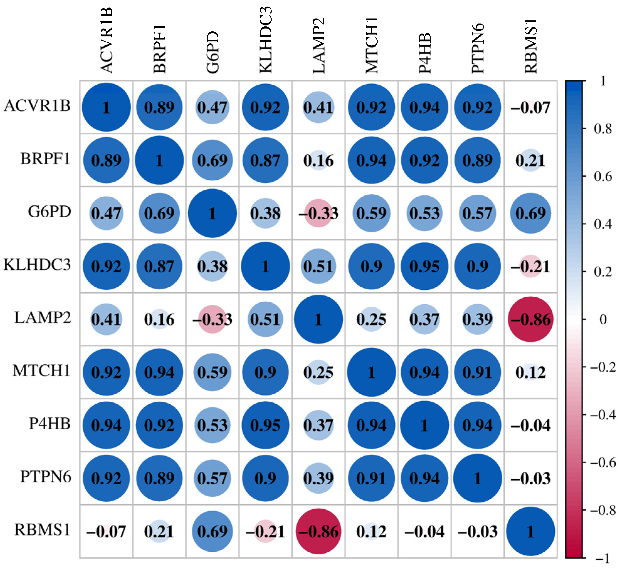 Genes 17 00224 g005 Genes 17 00224 g005
