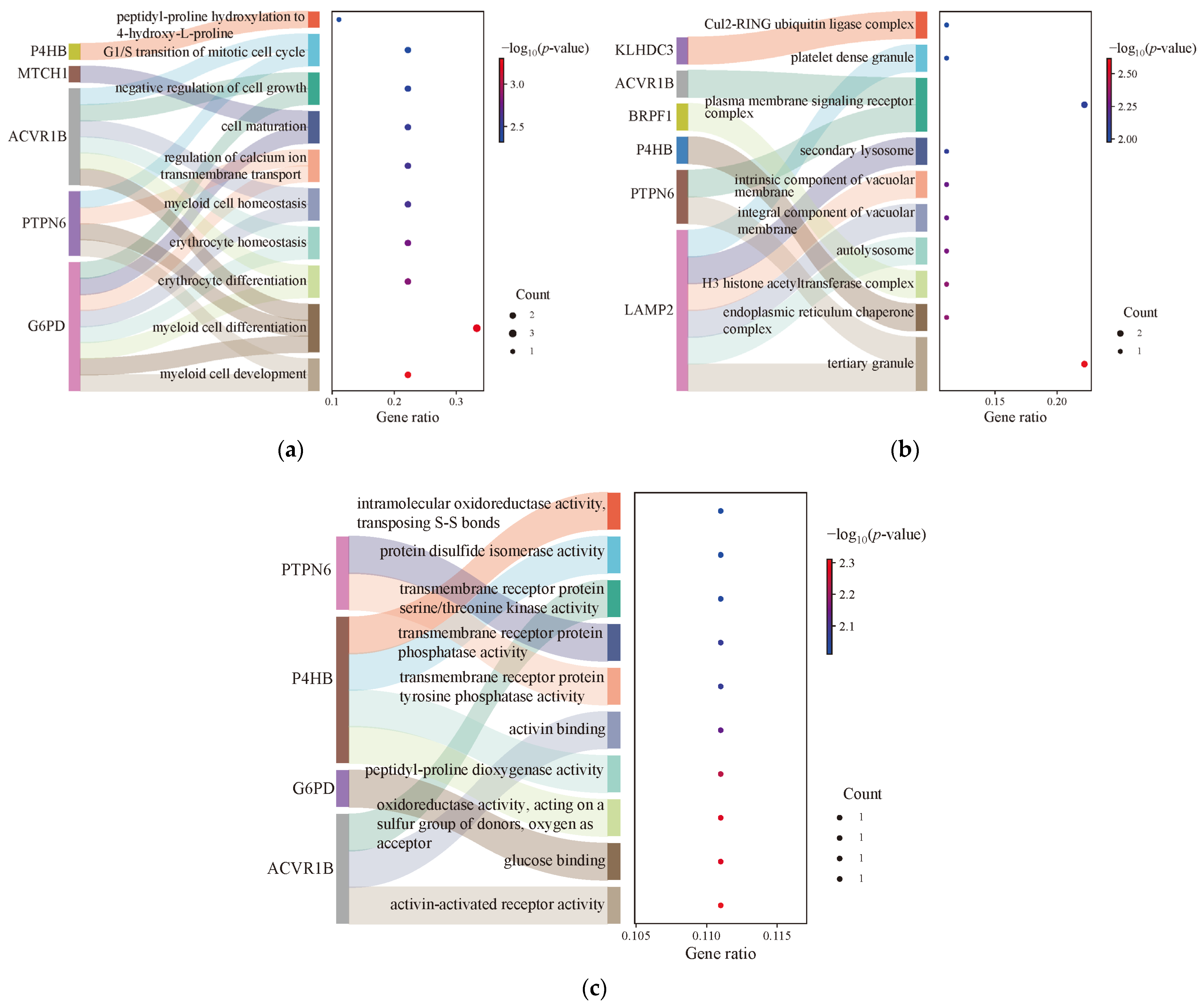 Genes 17 00224 g006 Genes 17 00224 g006