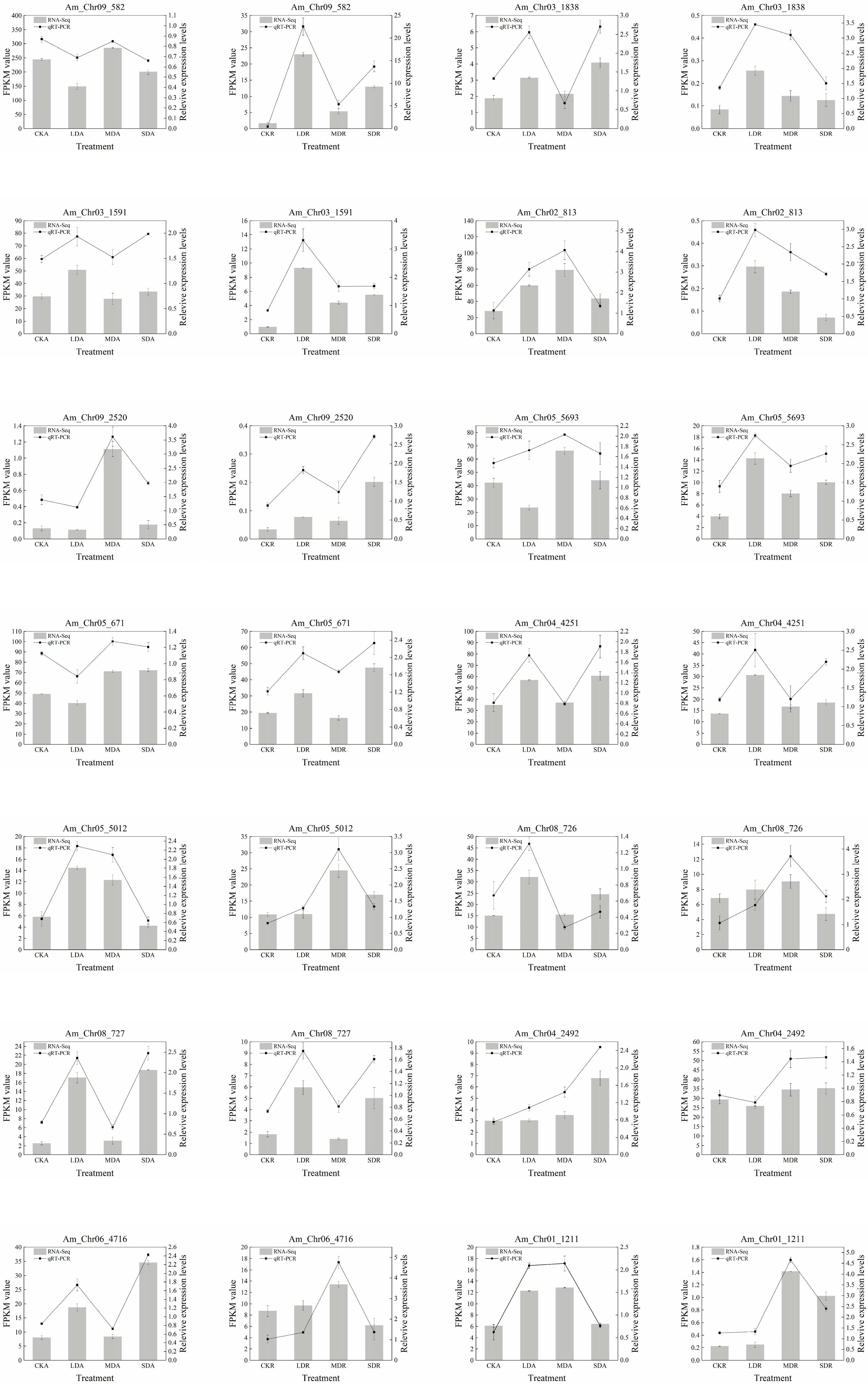 Genes 17 00242 g005 Genes 17 00242 g005