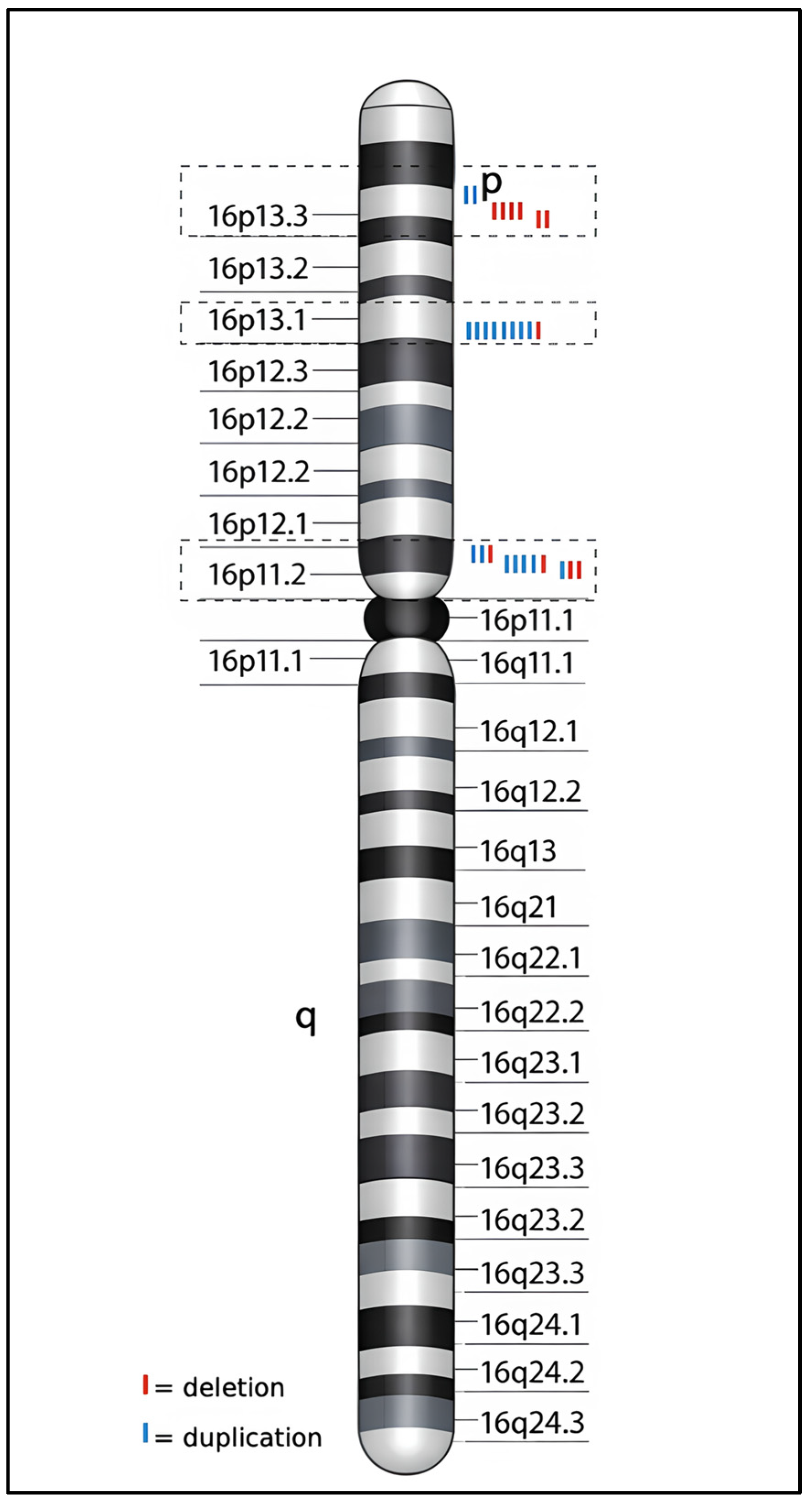 Genes 17 00247 g003 Genes 17 00247 g003