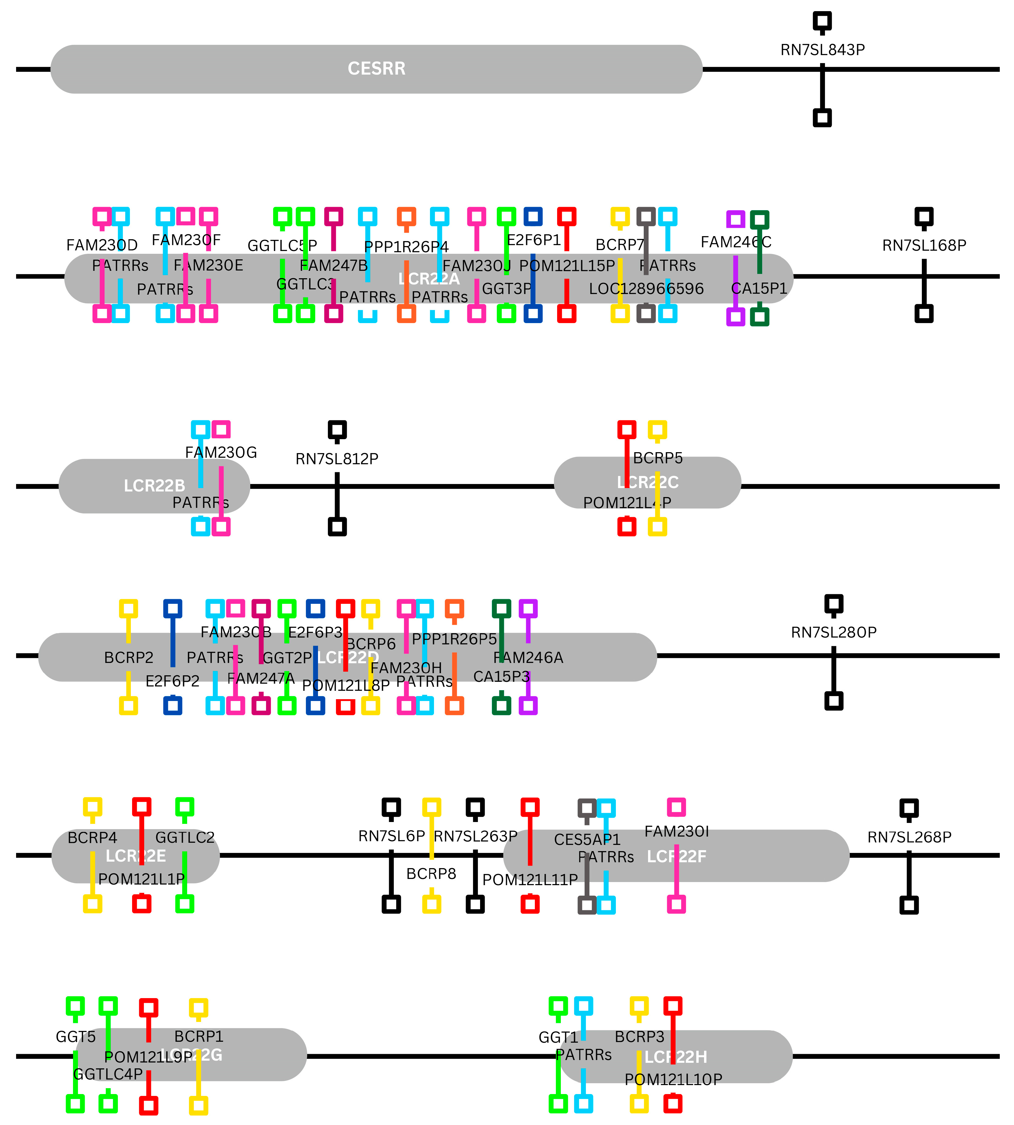 Genes 17 00248 g006 Genes 17 00248 g006