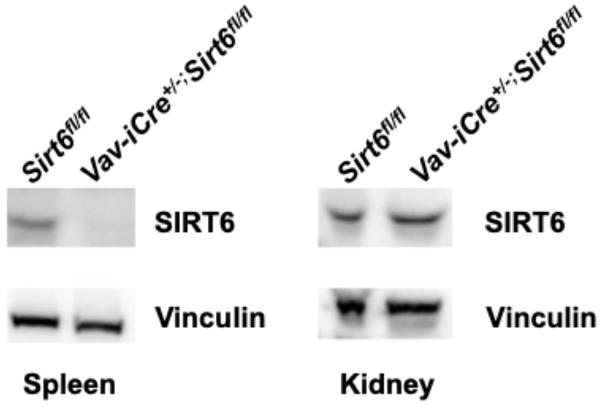 Genes 17 00255 g002