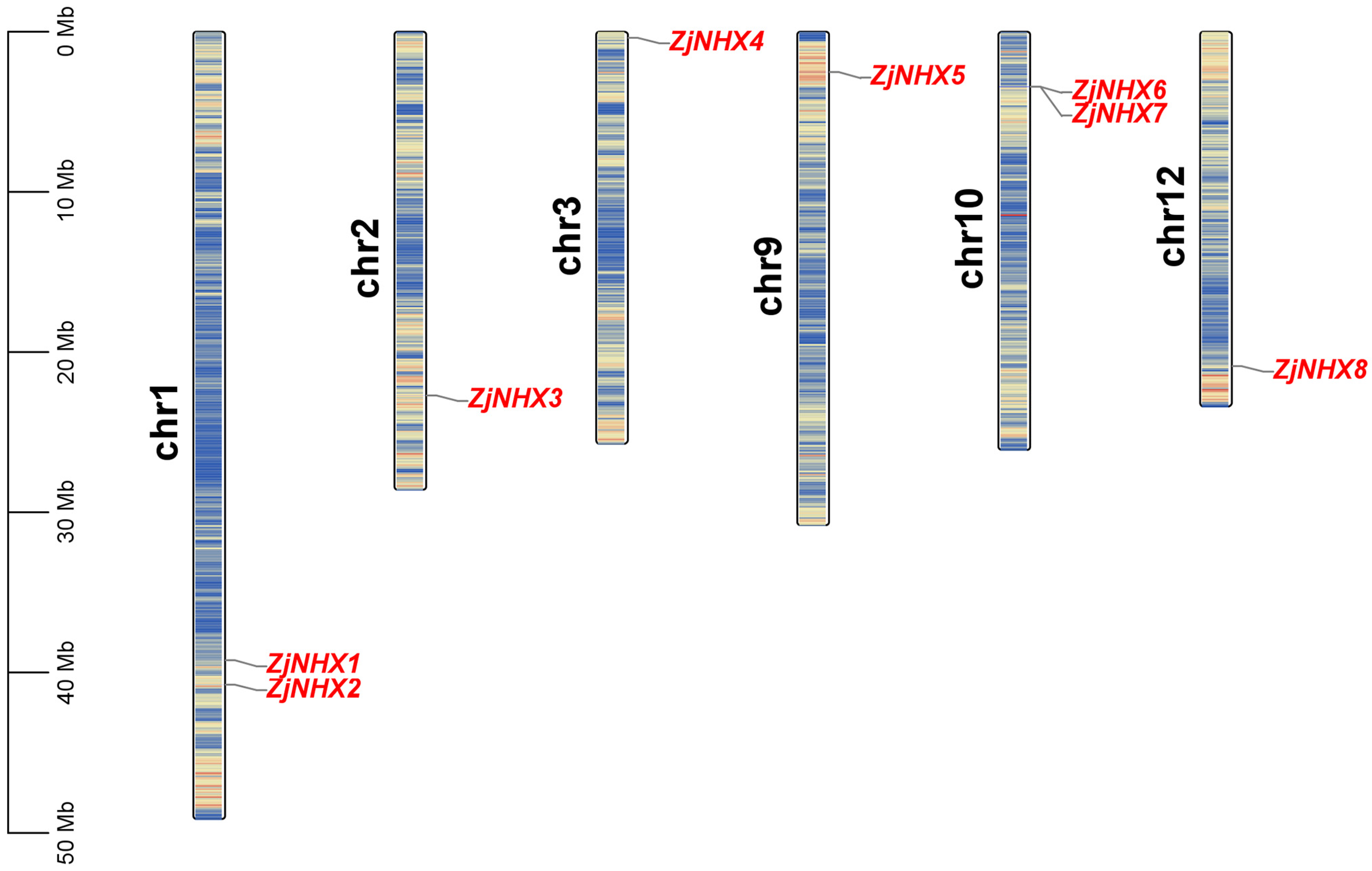 Genes 17 00264 g001 Genes 17 00264 g001
