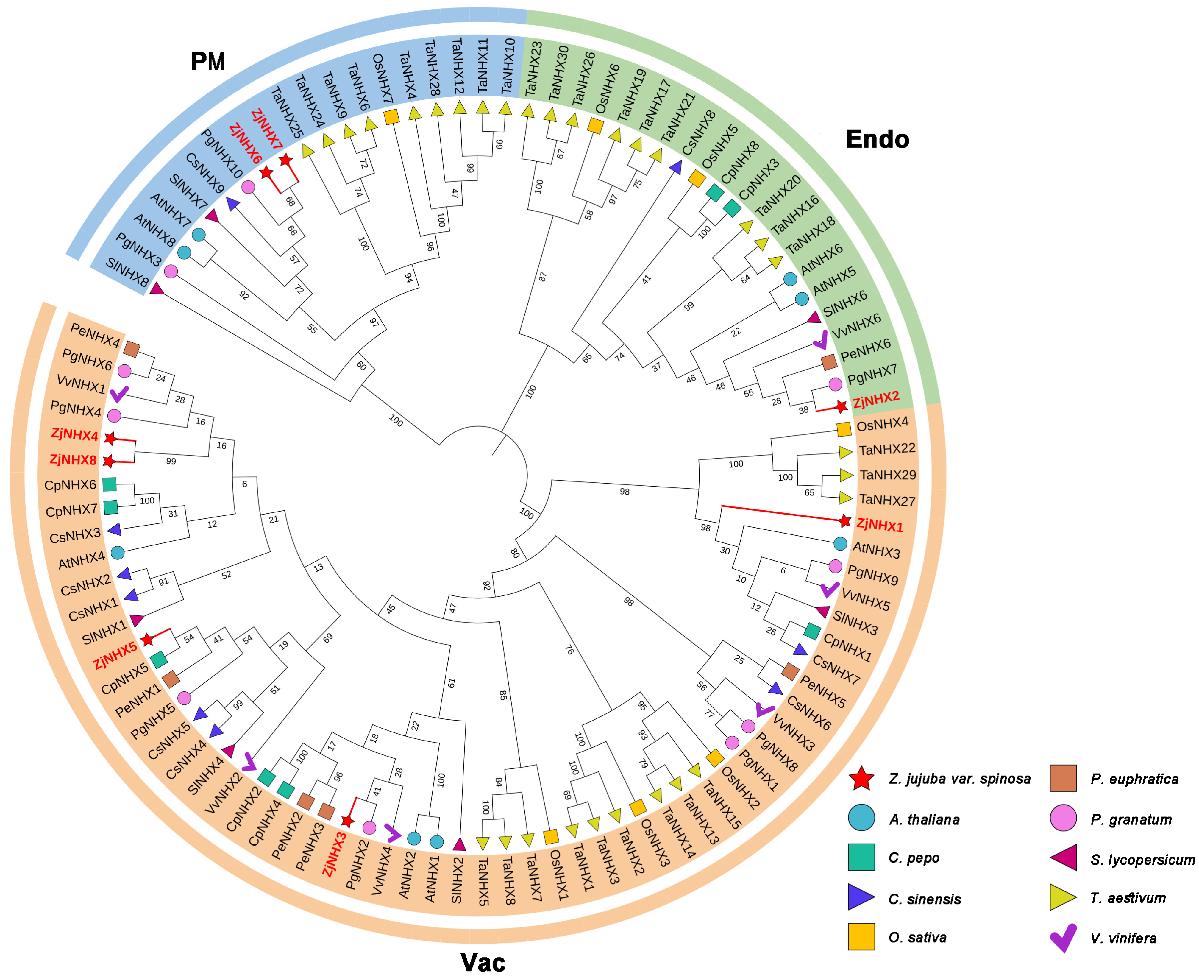 Genes 17 00264 g002 Genes 17 00264 g002
