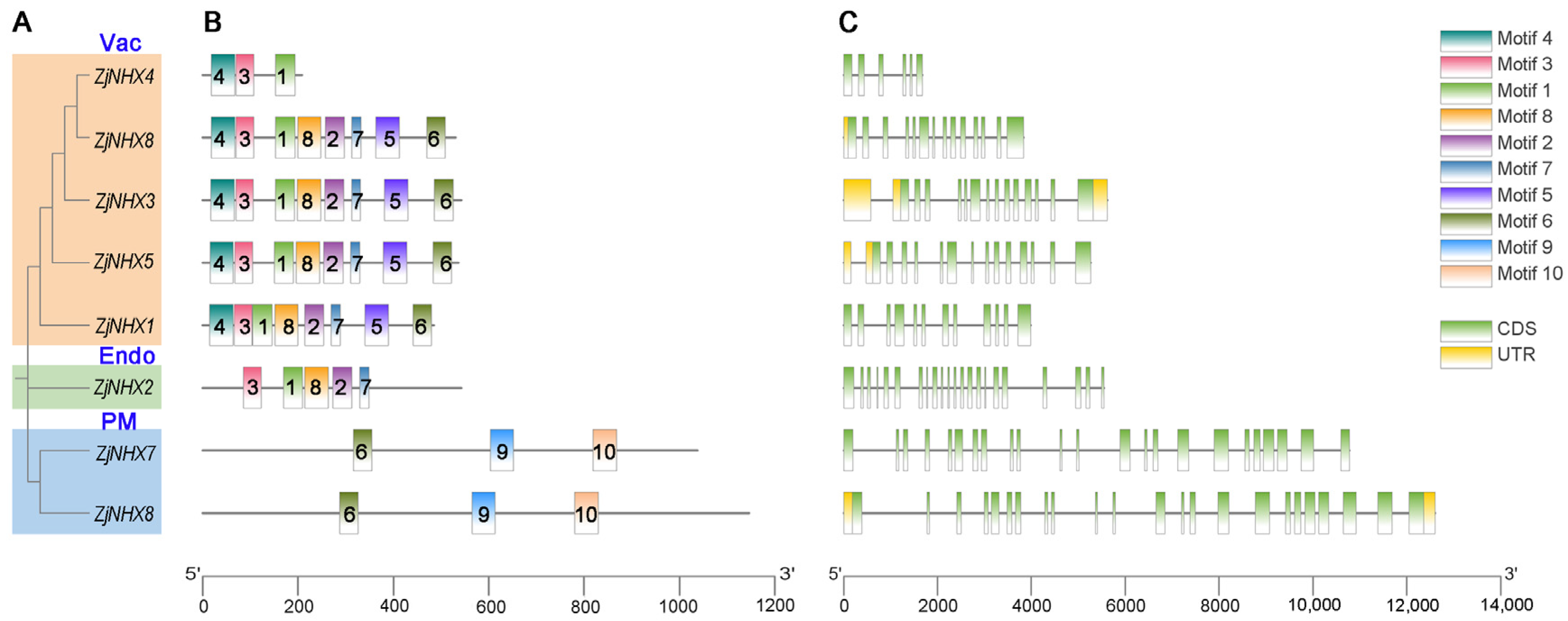 Genes 17 00264 g003 Genes 17 00264 g003