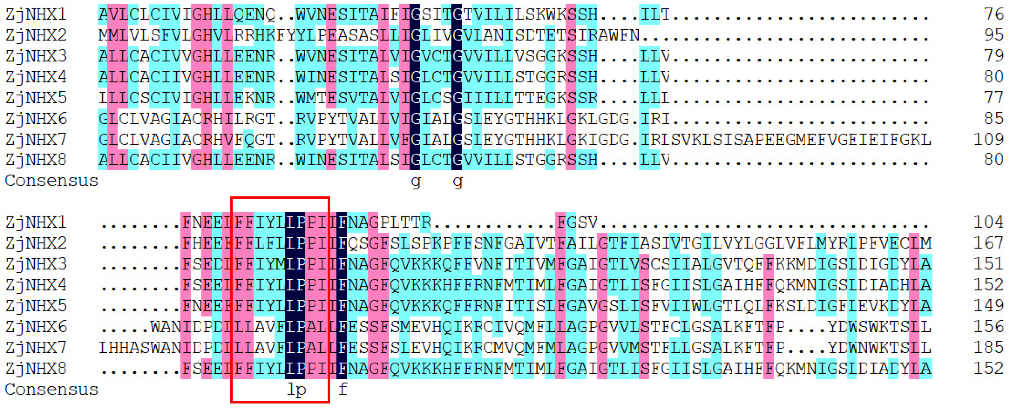 Genes 17 00264 g004 Genes 17 00264 g004
