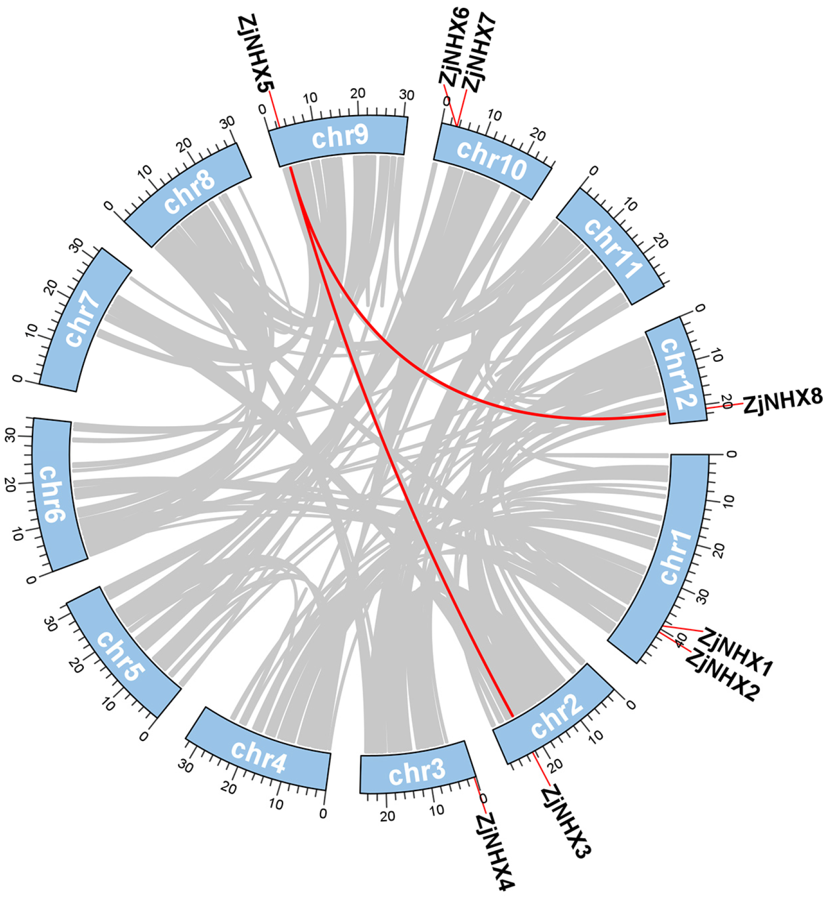 Genes 17 00264 g005 Genes 17 00264 g005