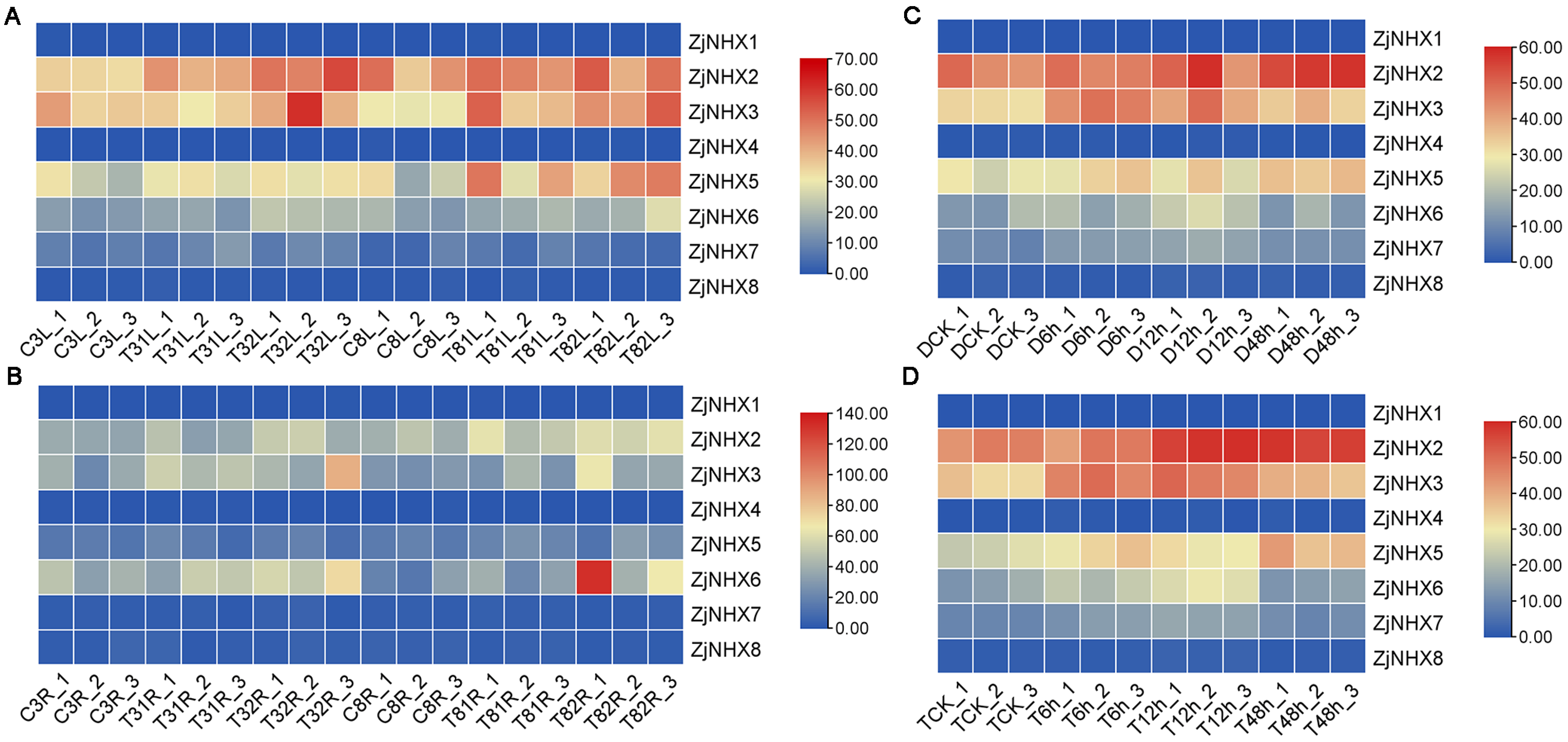 Genes 17 00264 g008 Genes 17 00264 g008