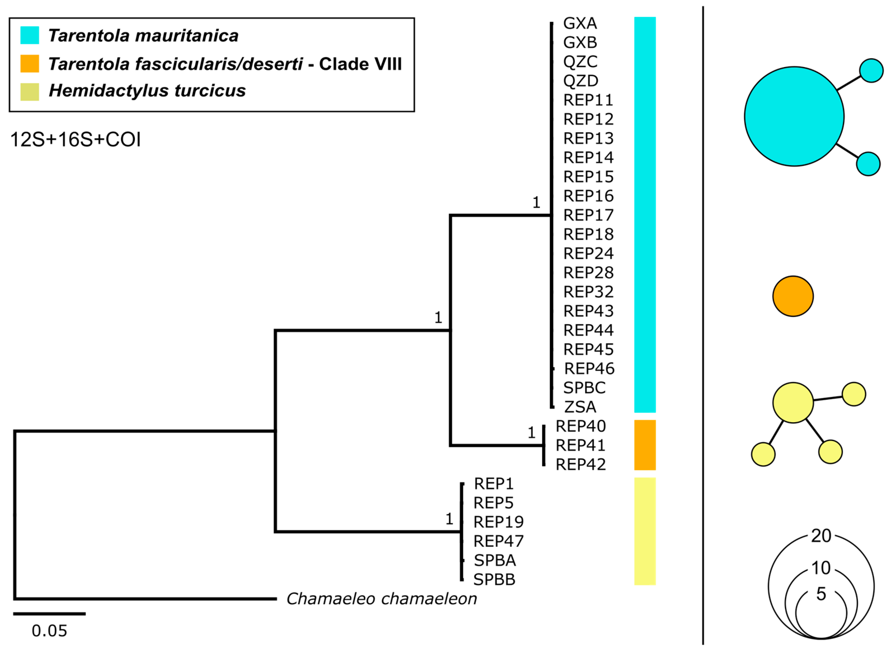Genes 17 00271 g002 Genes 17 00271 g002