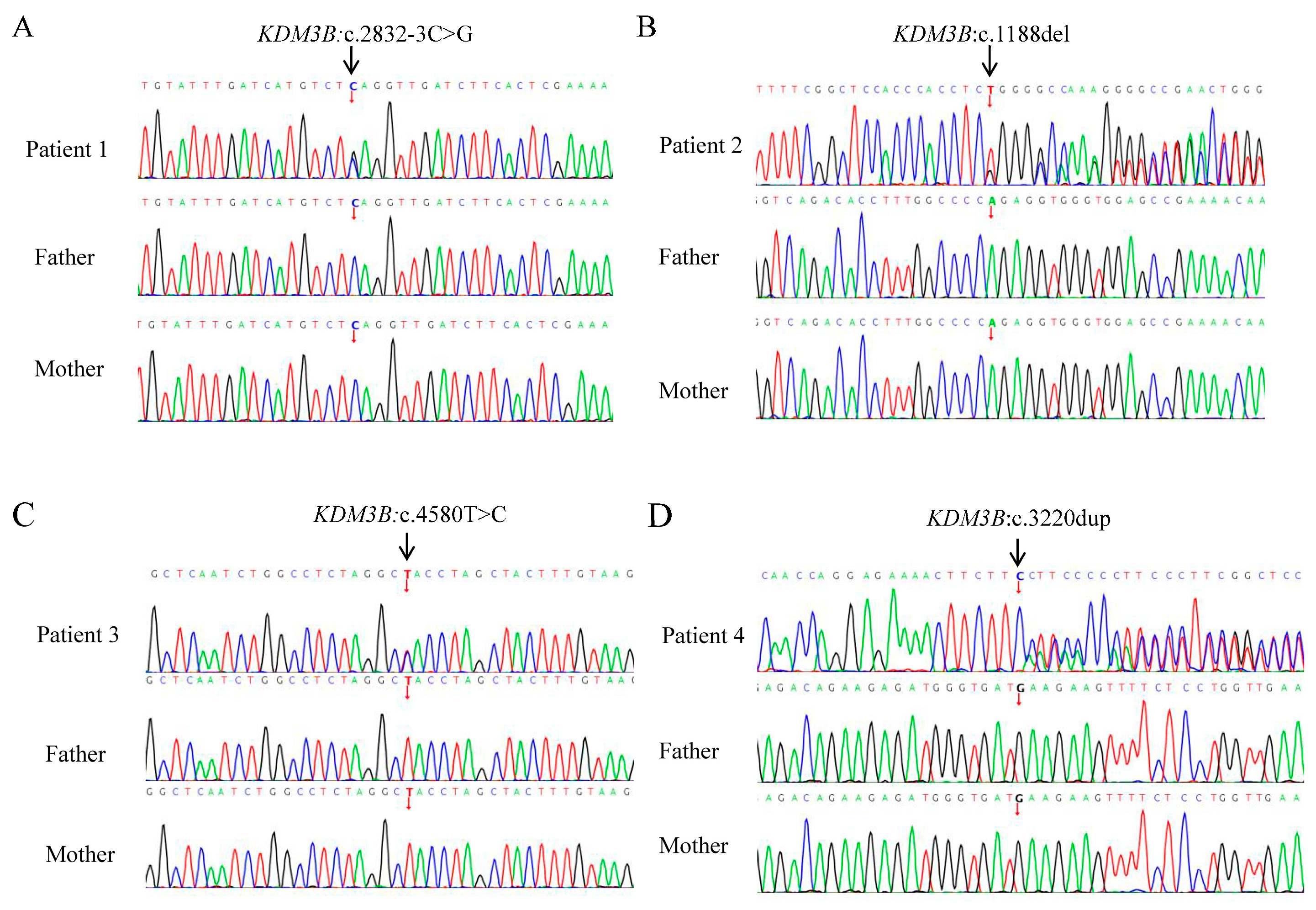 Genes 17 00294 g002 Genes 17 00294 g002