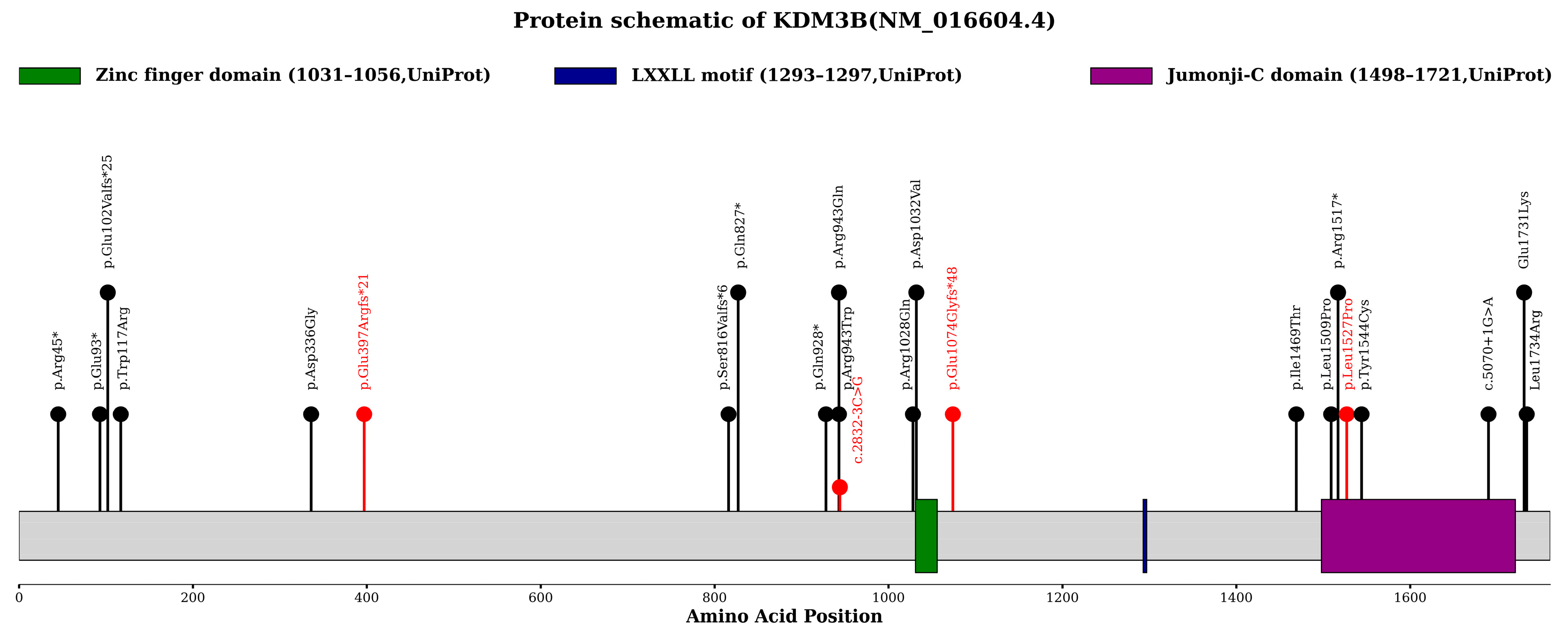 Genes 17 00294 g003 Genes 17 00294 g003