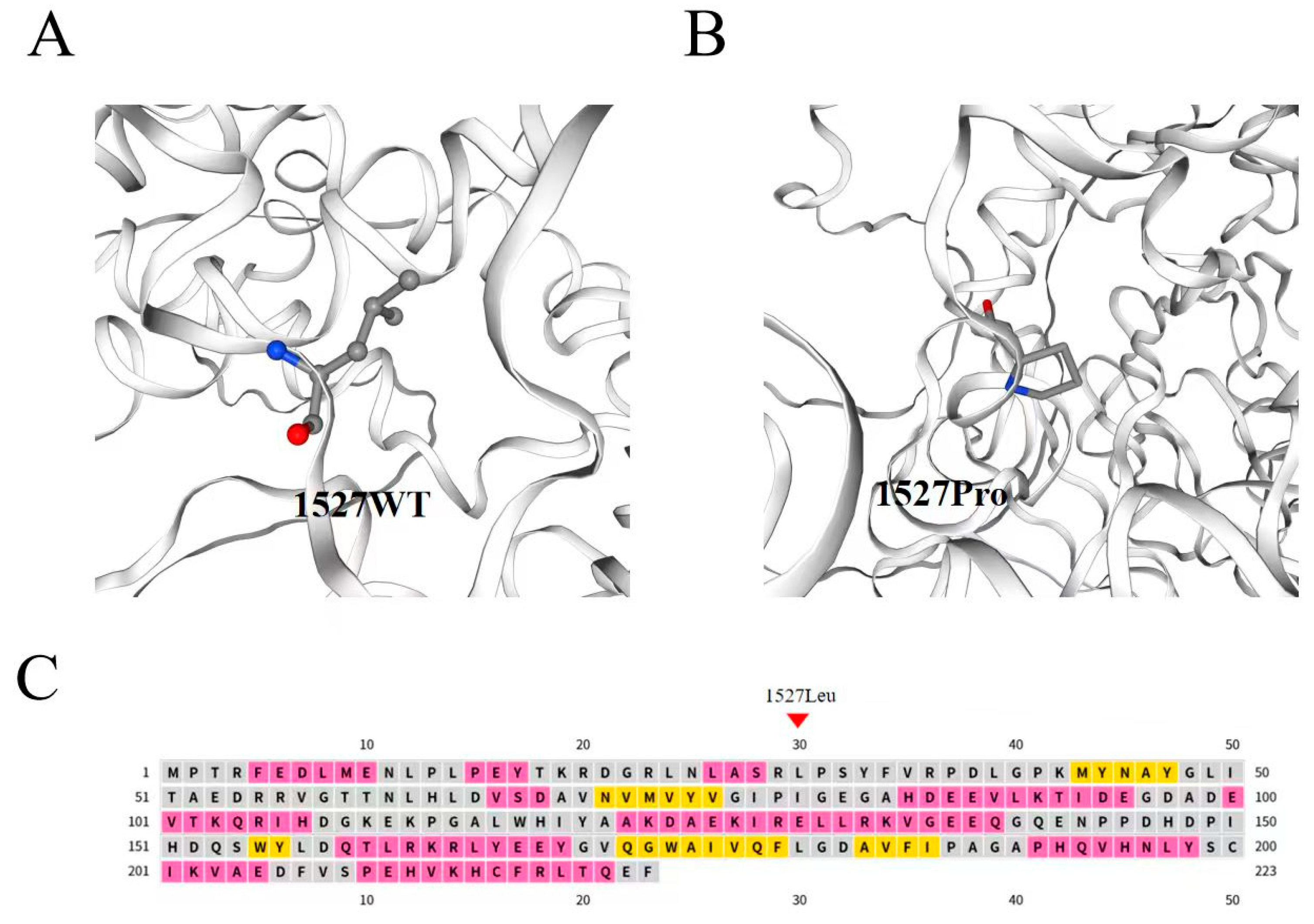 Genes 17 00294 g004 Genes 17 00294 g004
