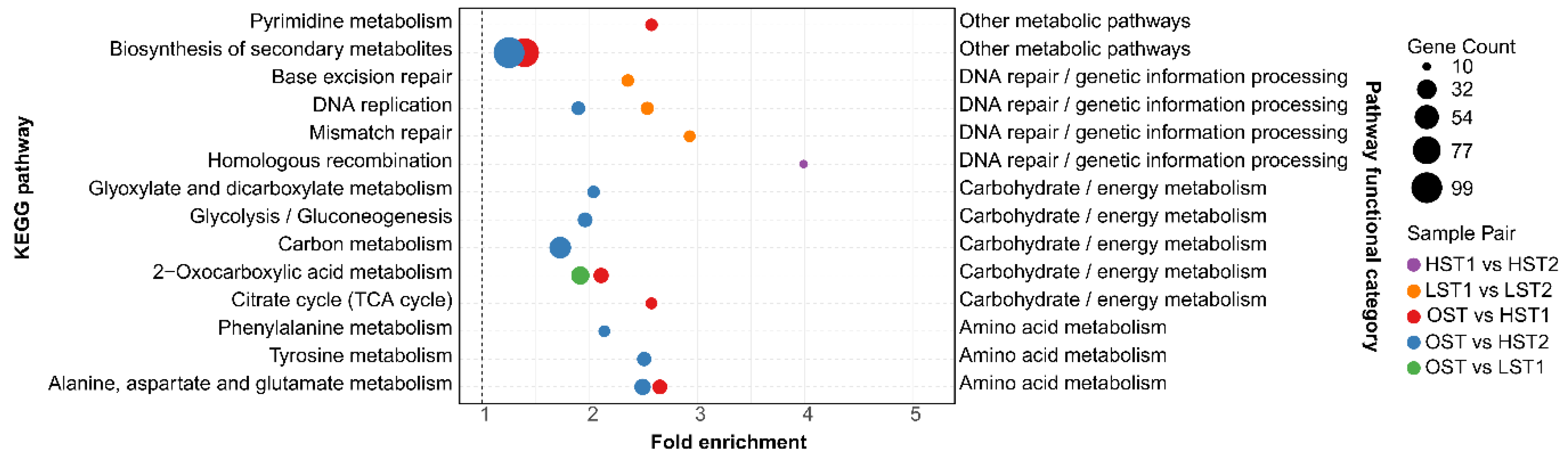 Genes 17 00296 g007 Genes 17 00296 g007