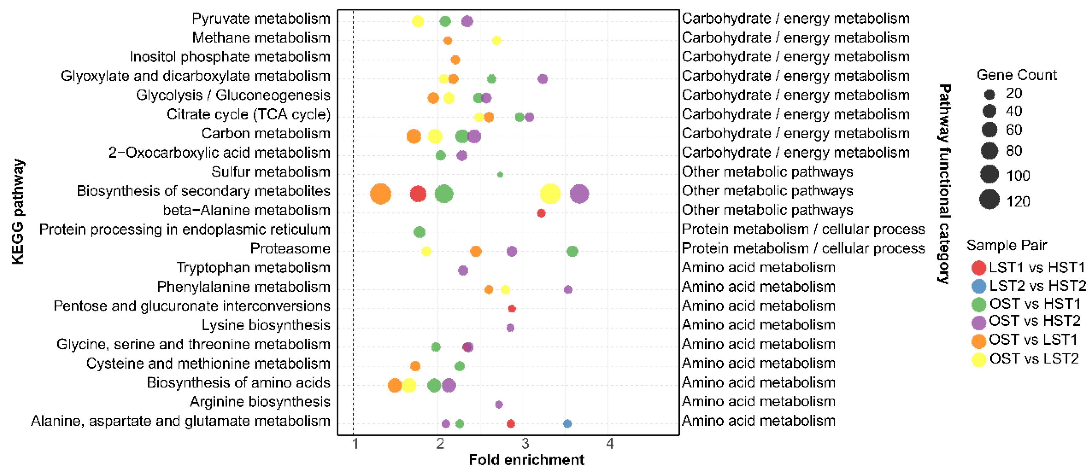 Genes 17 00296 g008 Genes 17 00296 g008