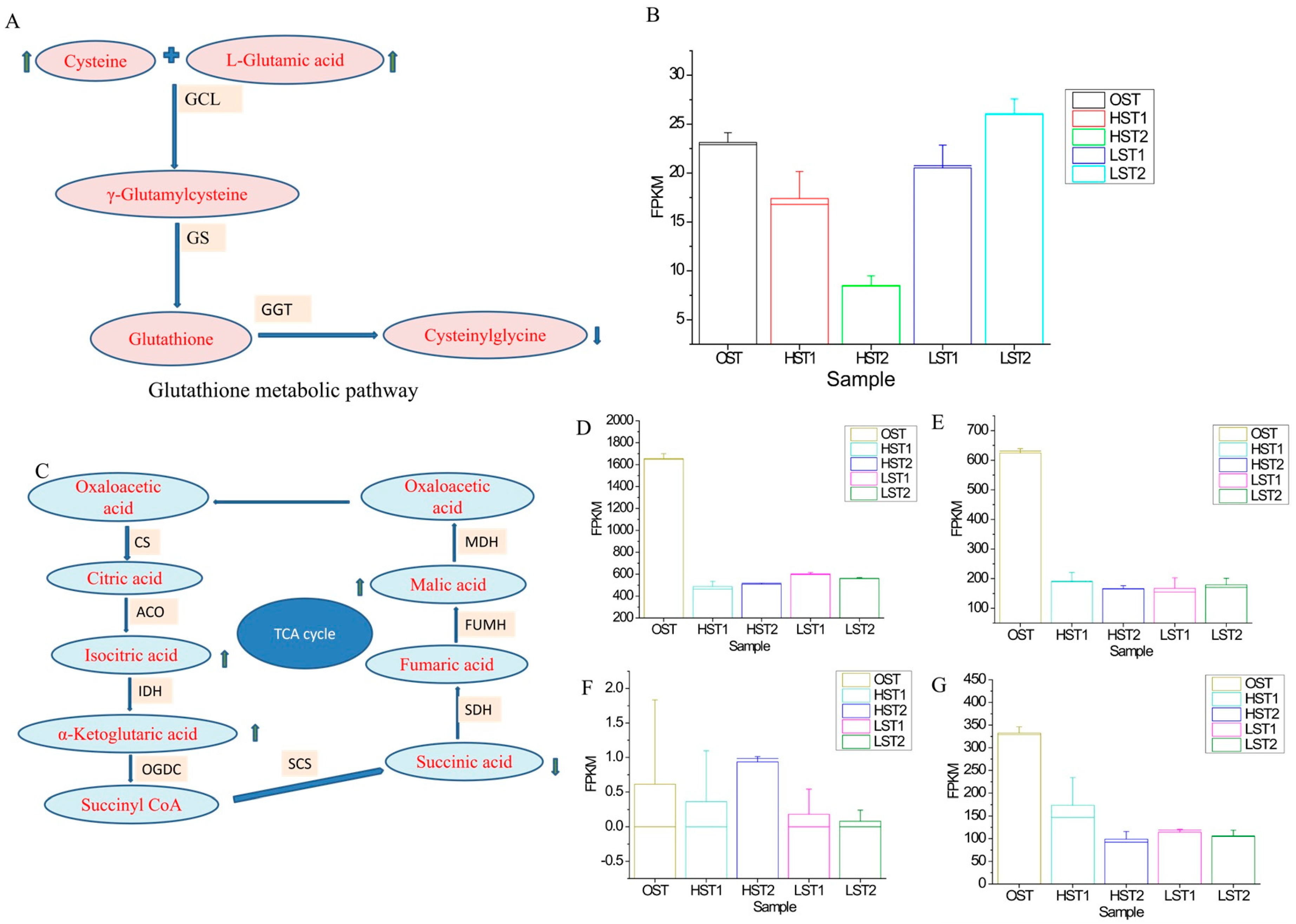 Genes 17 00296 g009 Genes 17 00296 g009
