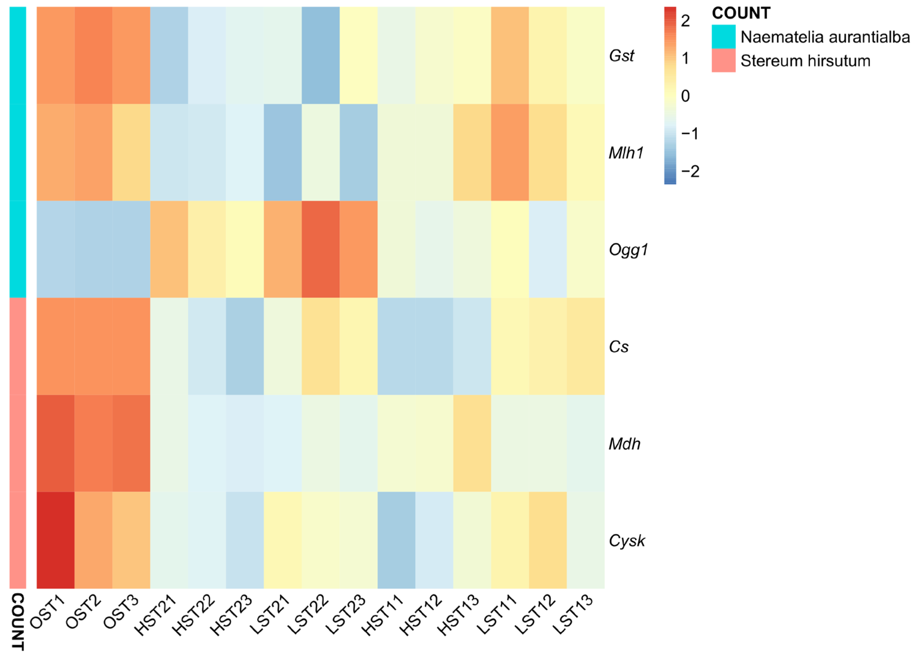 Genes 17 00296 g010 Genes 17 00296 g010