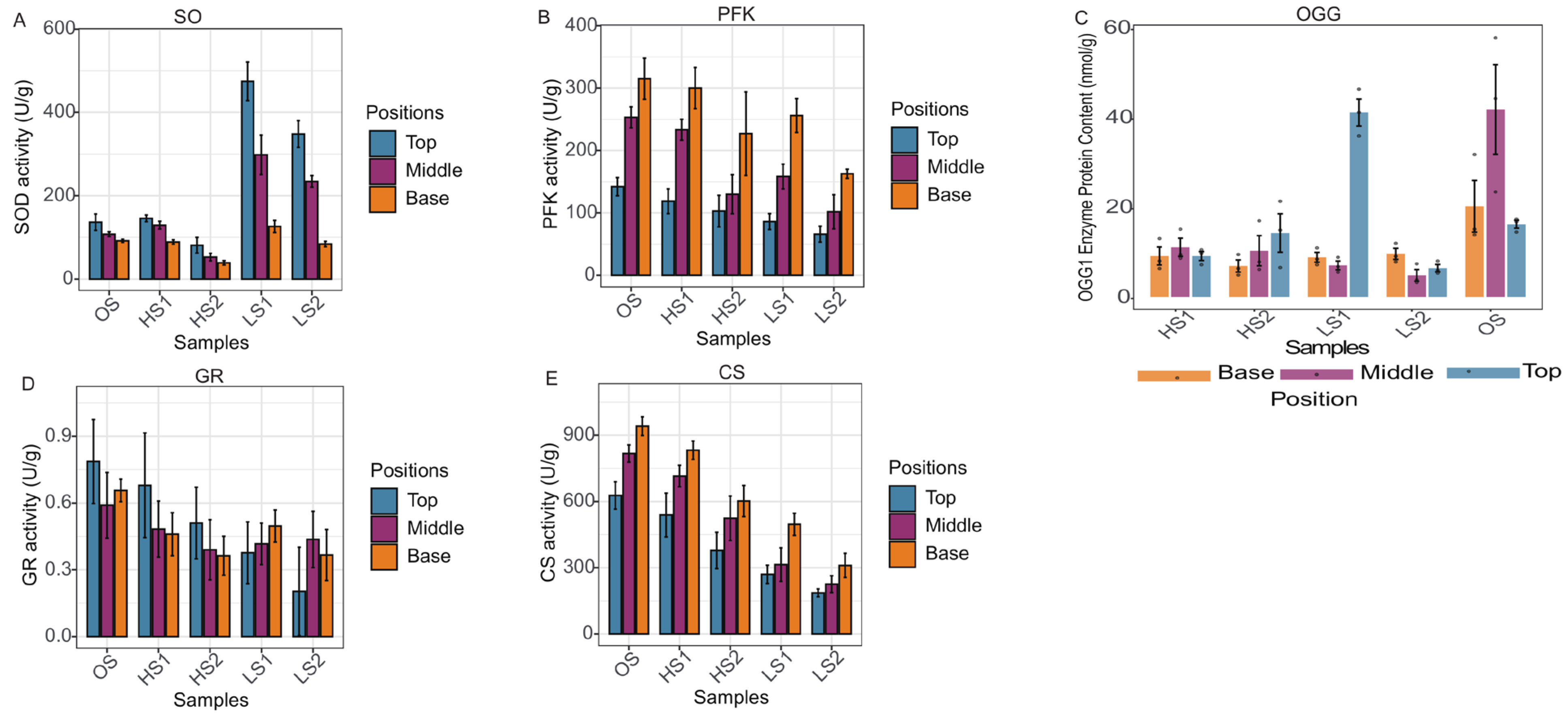 Genes 17 00296 g012 Genes 17 00296 g012