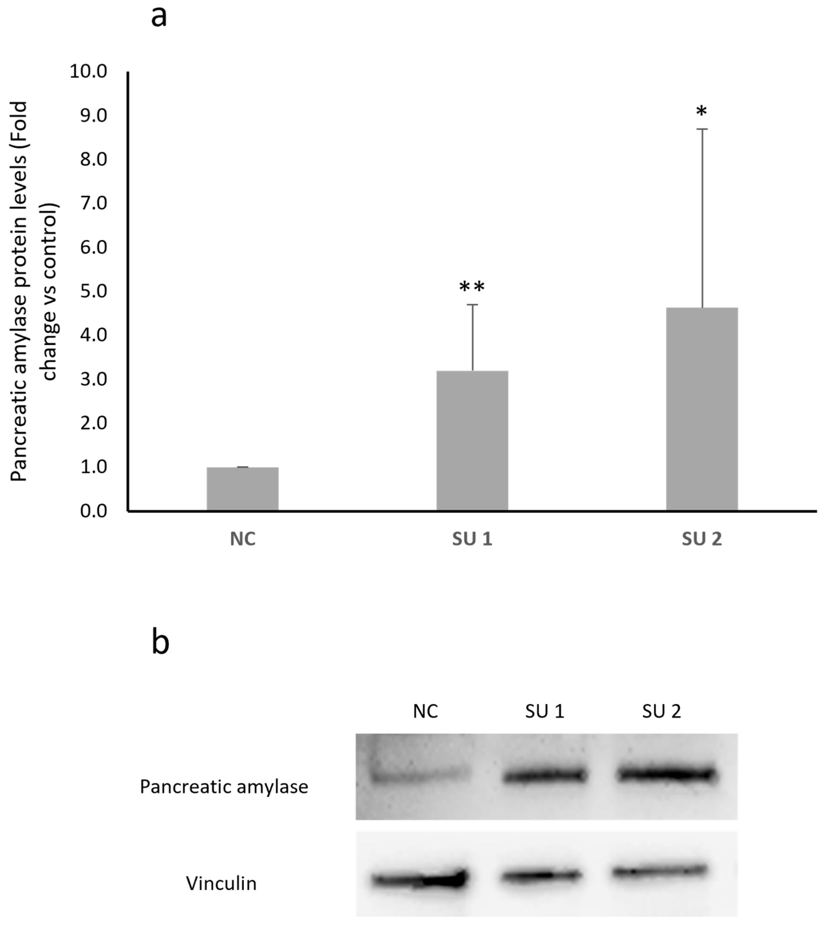 Genes 17 00321 g003a Genes 17 00321 g003a
