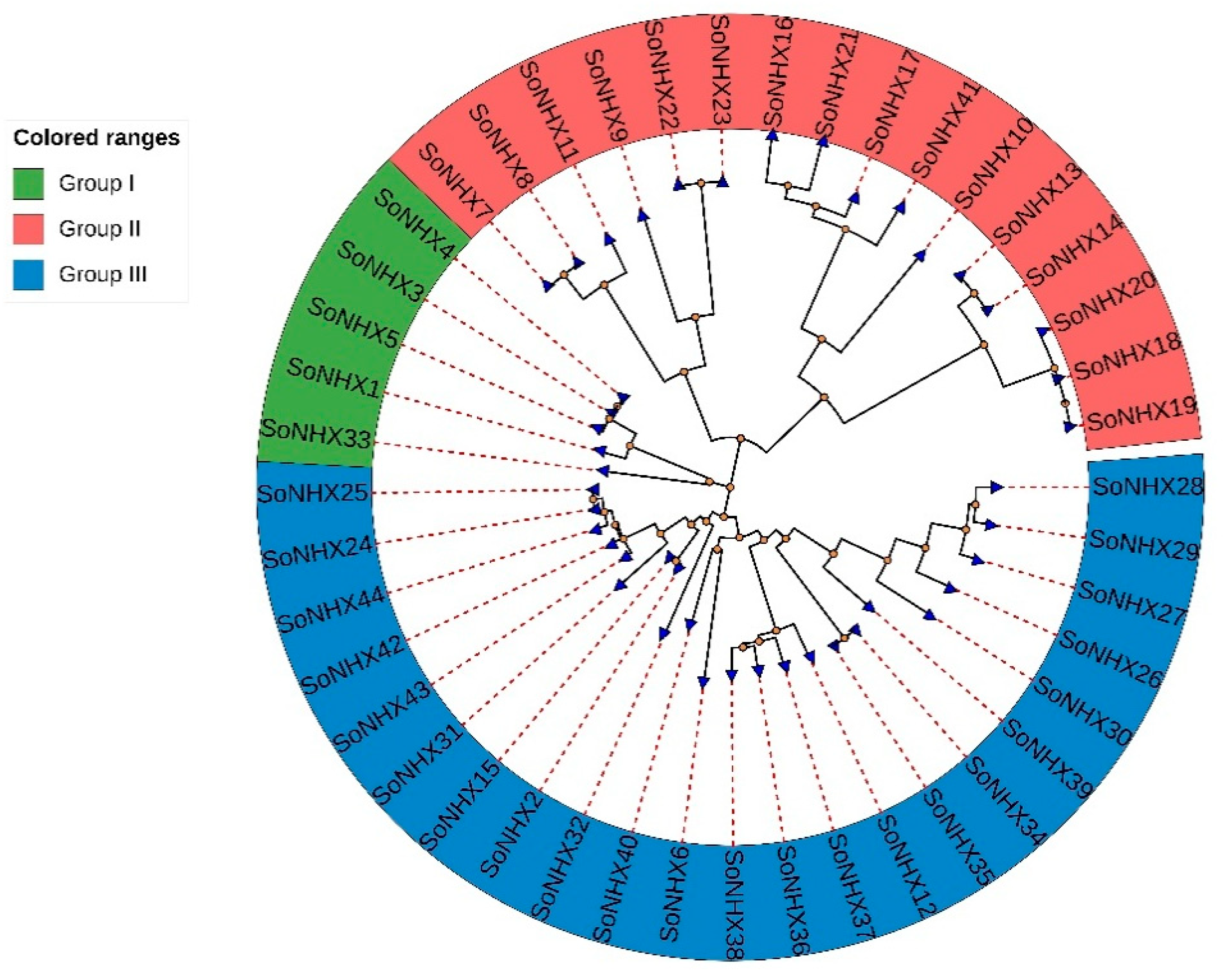 Genes 17 00329 g001 Genes 17 00329 g001
