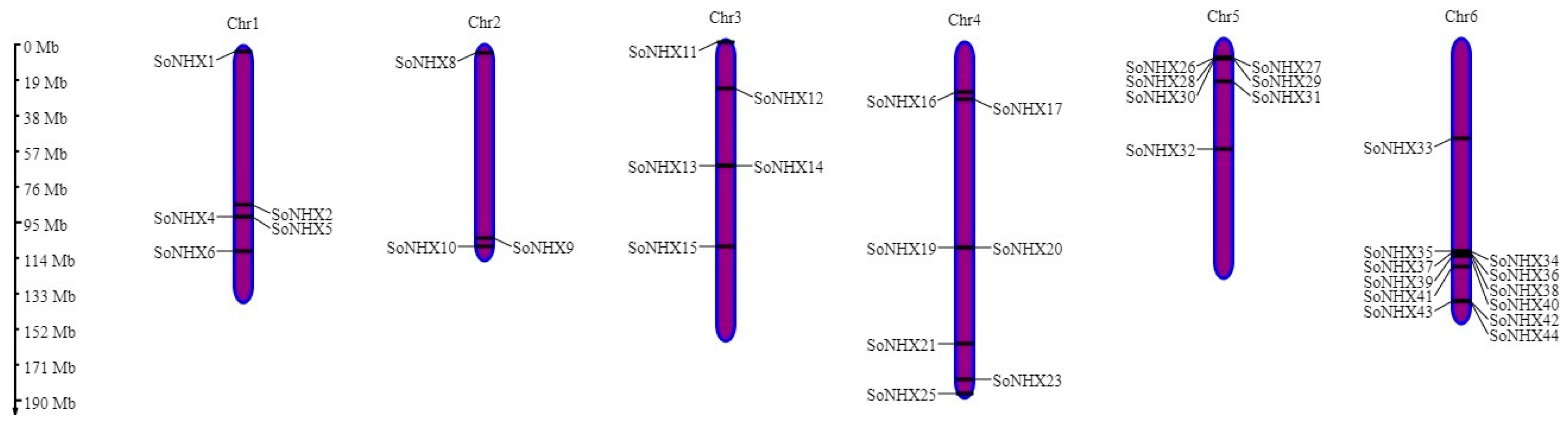 Genes 17 00329 g002 Genes 17 00329 g002