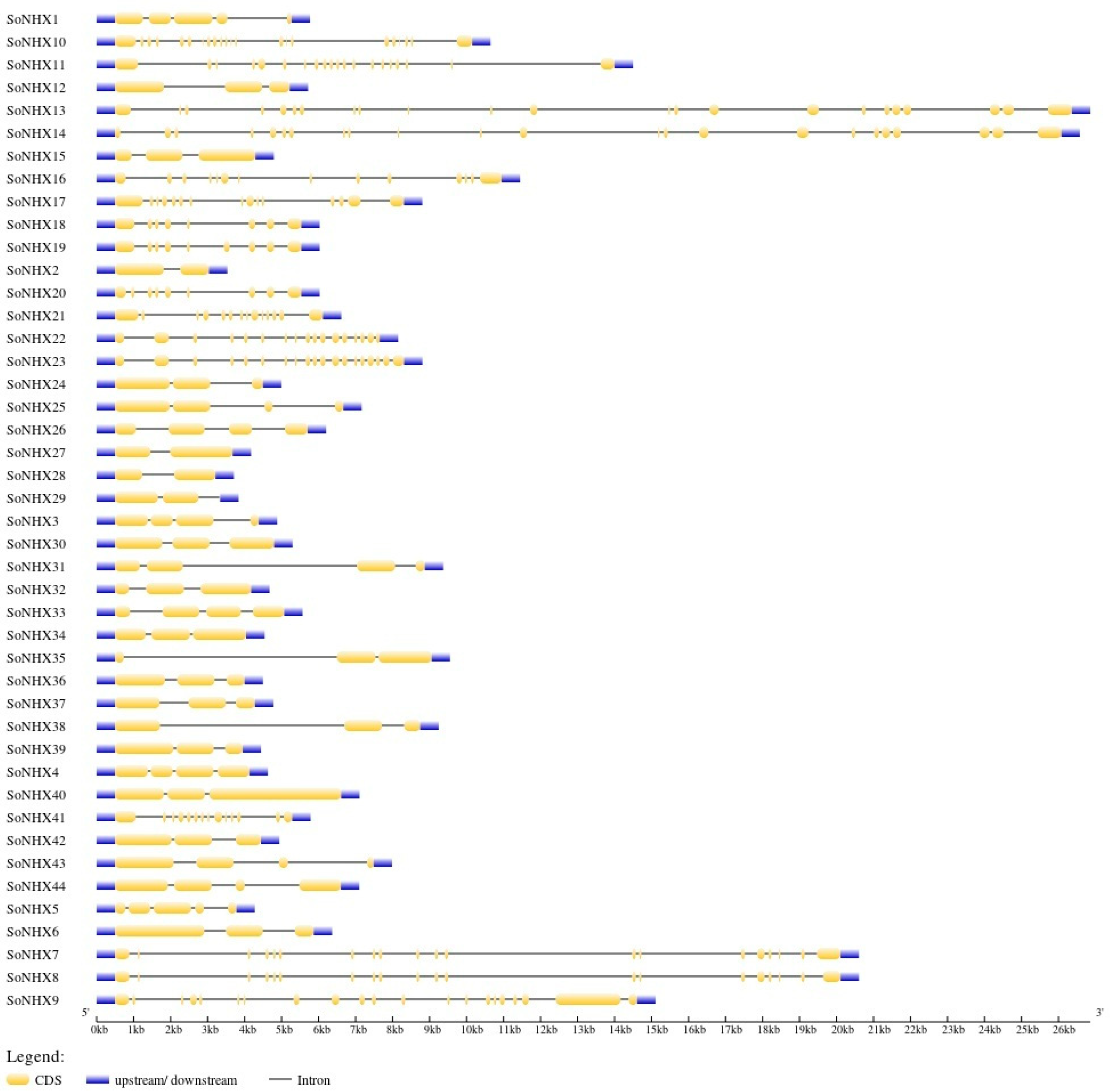 Genes 17 00329 g003 Genes 17 00329 g003