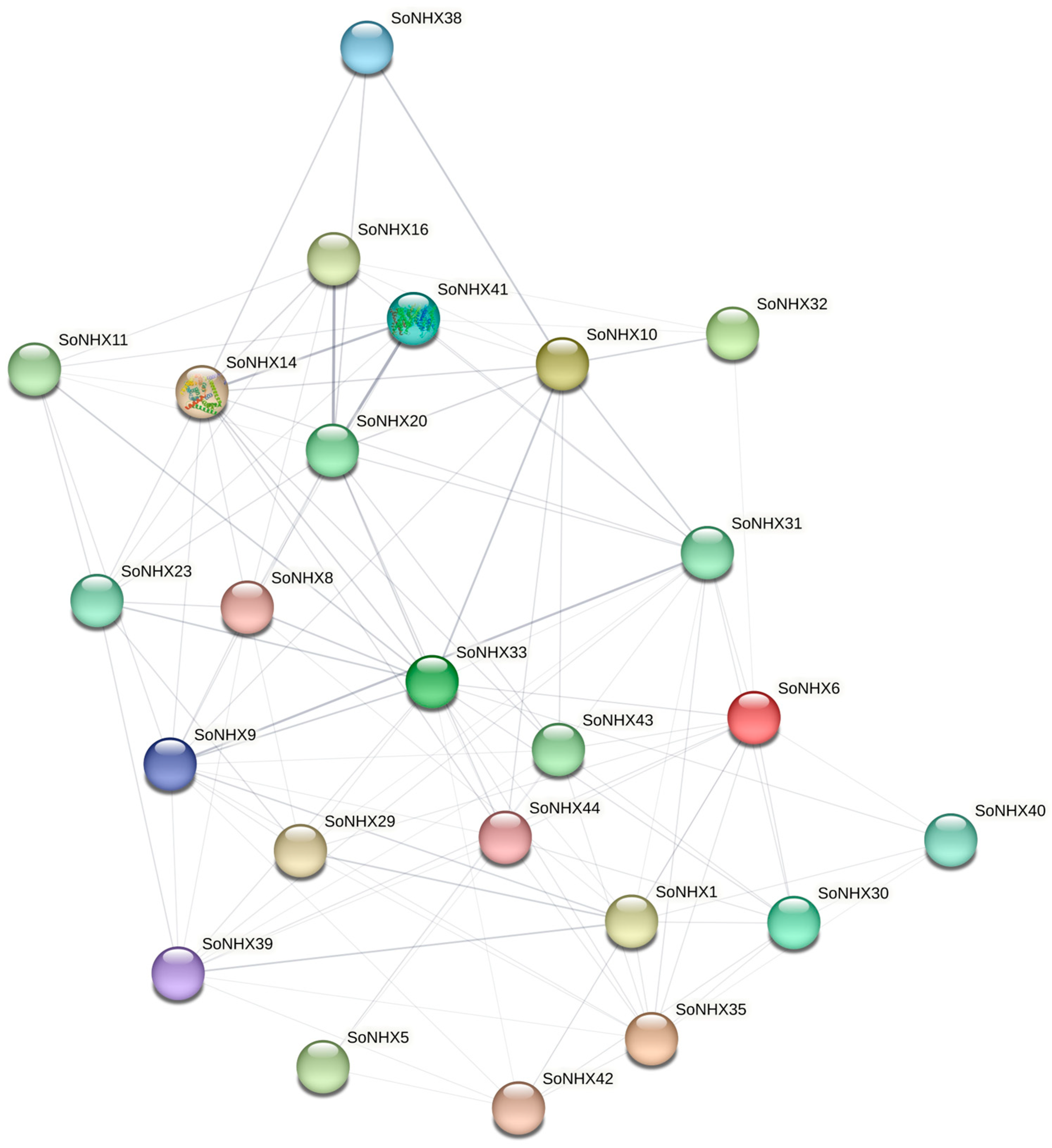 Genes 17 00329 g007 Genes 17 00329 g007