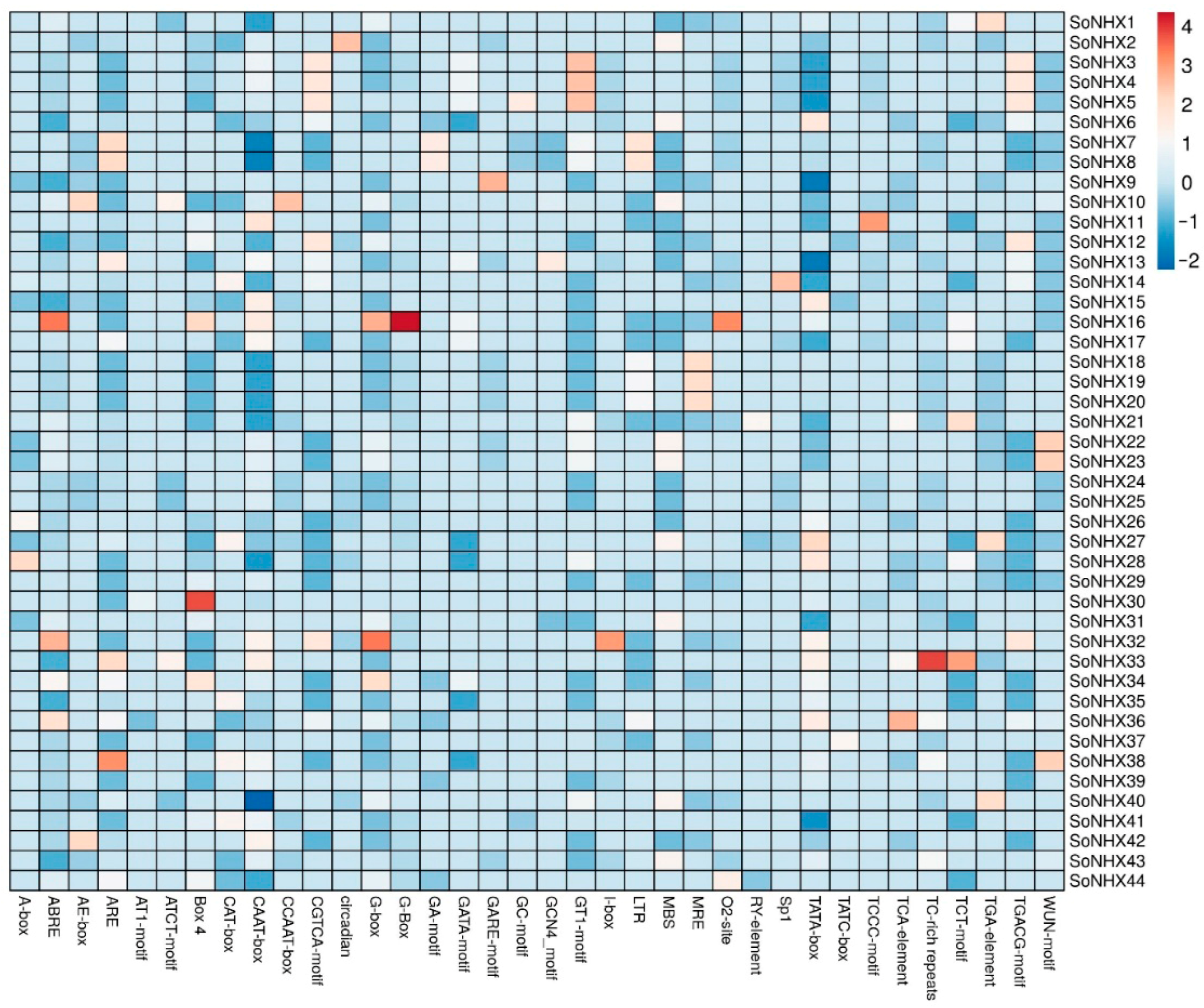 Genes 17 00329 g008 Genes 17 00329 g008