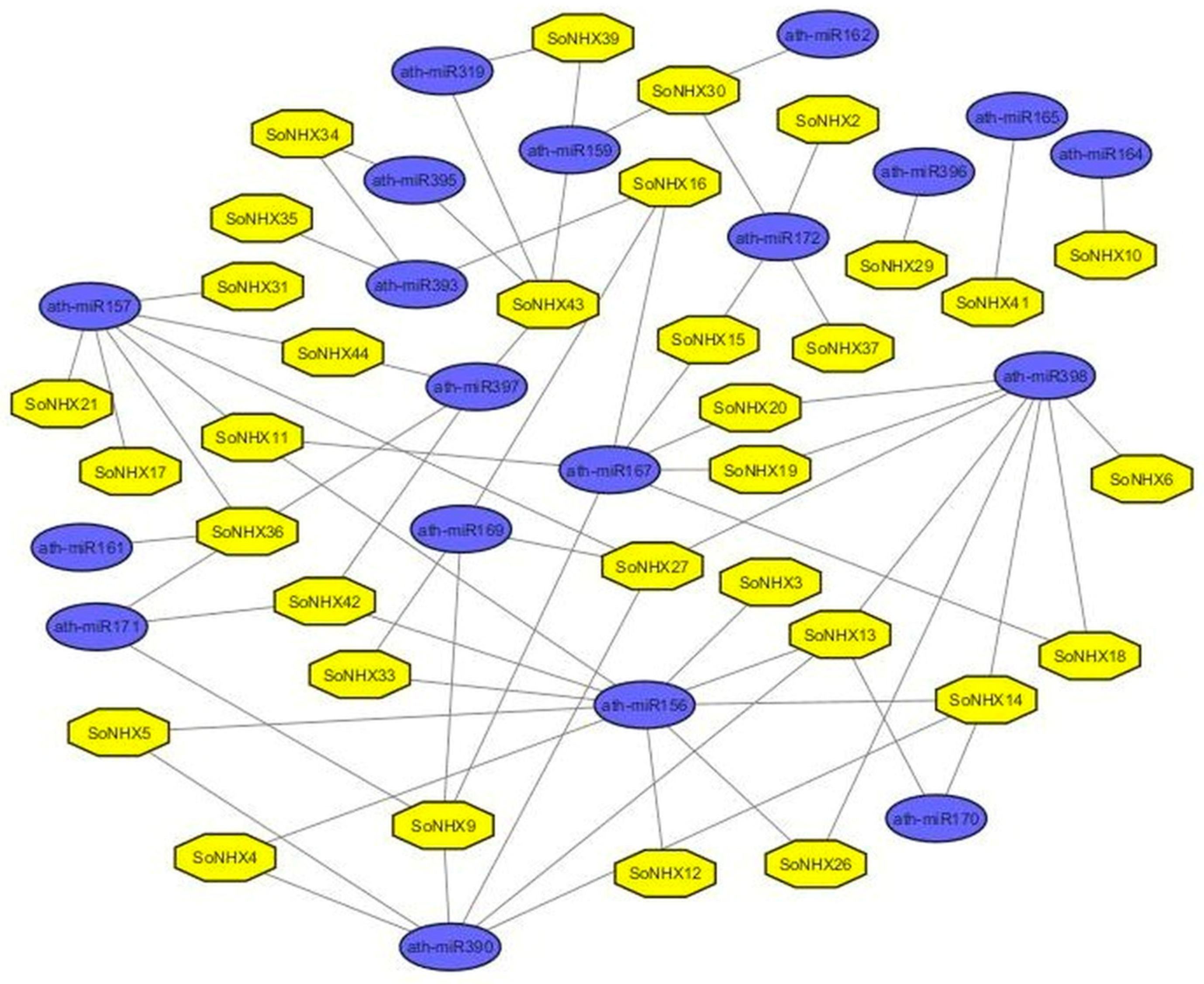 Genes 17 00329 g009 Genes 17 00329 g009